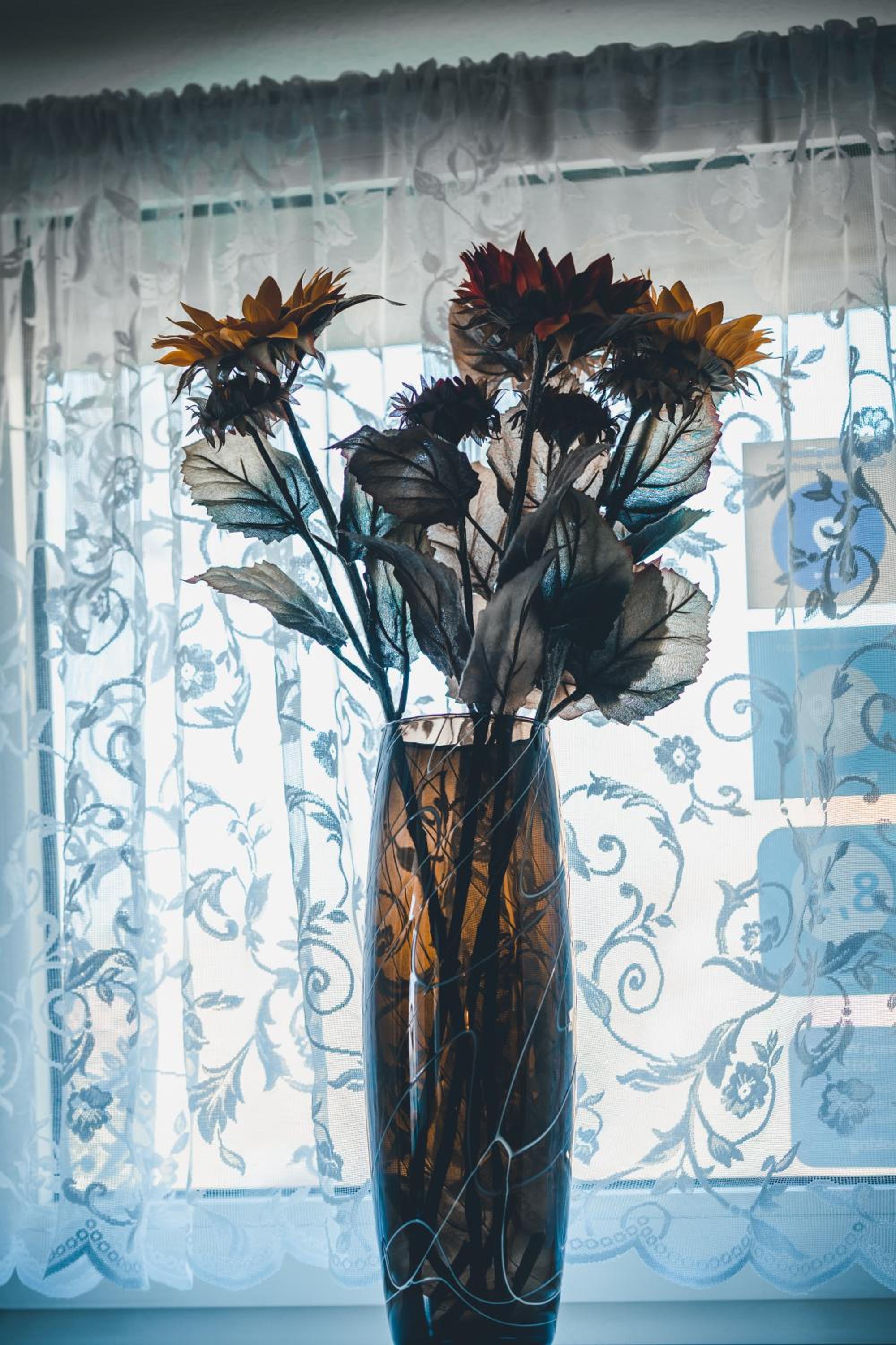 Linz Vacations - Mayerhofer House - Property Image 10