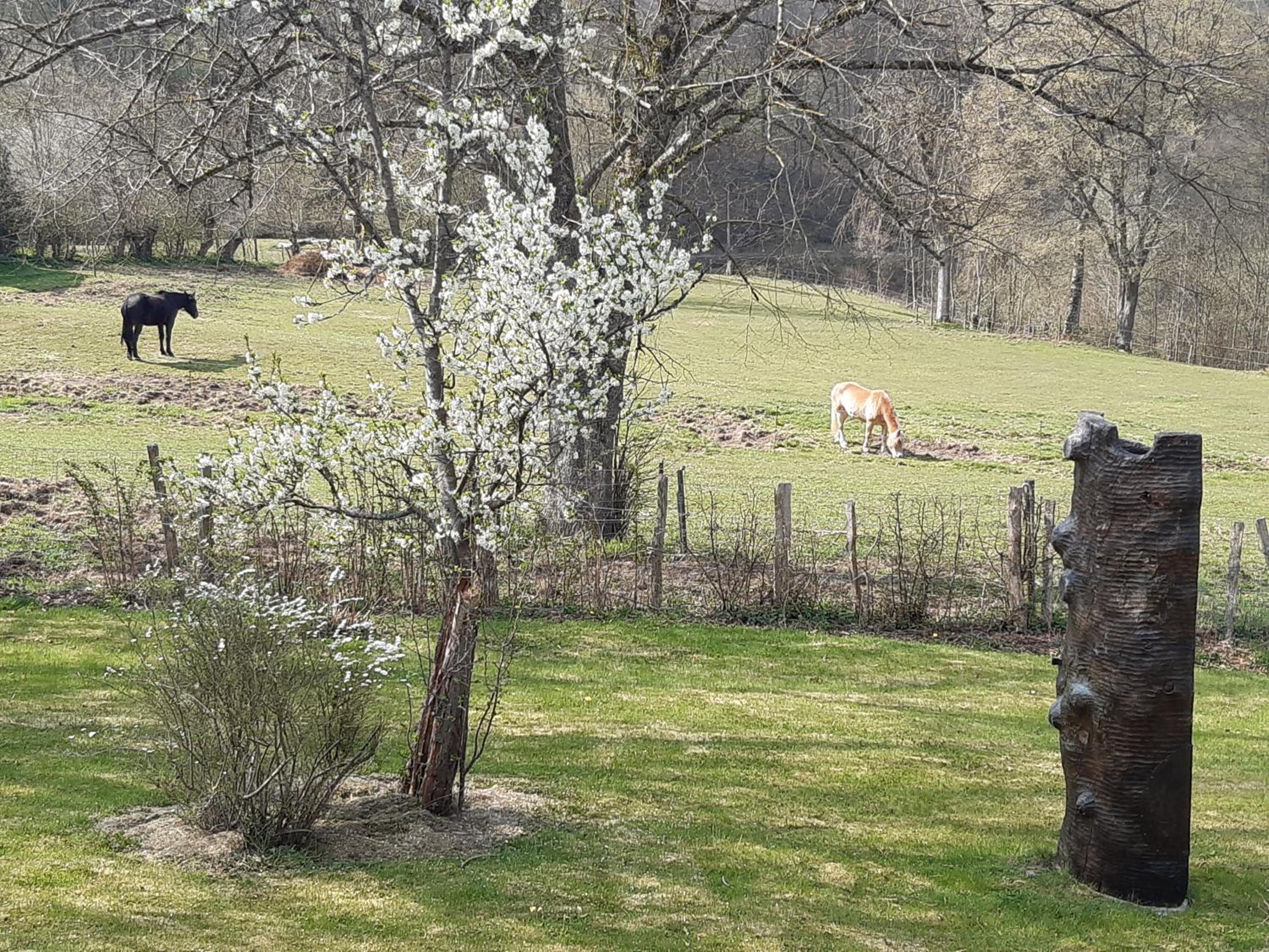 Maison Vintage Ardenne