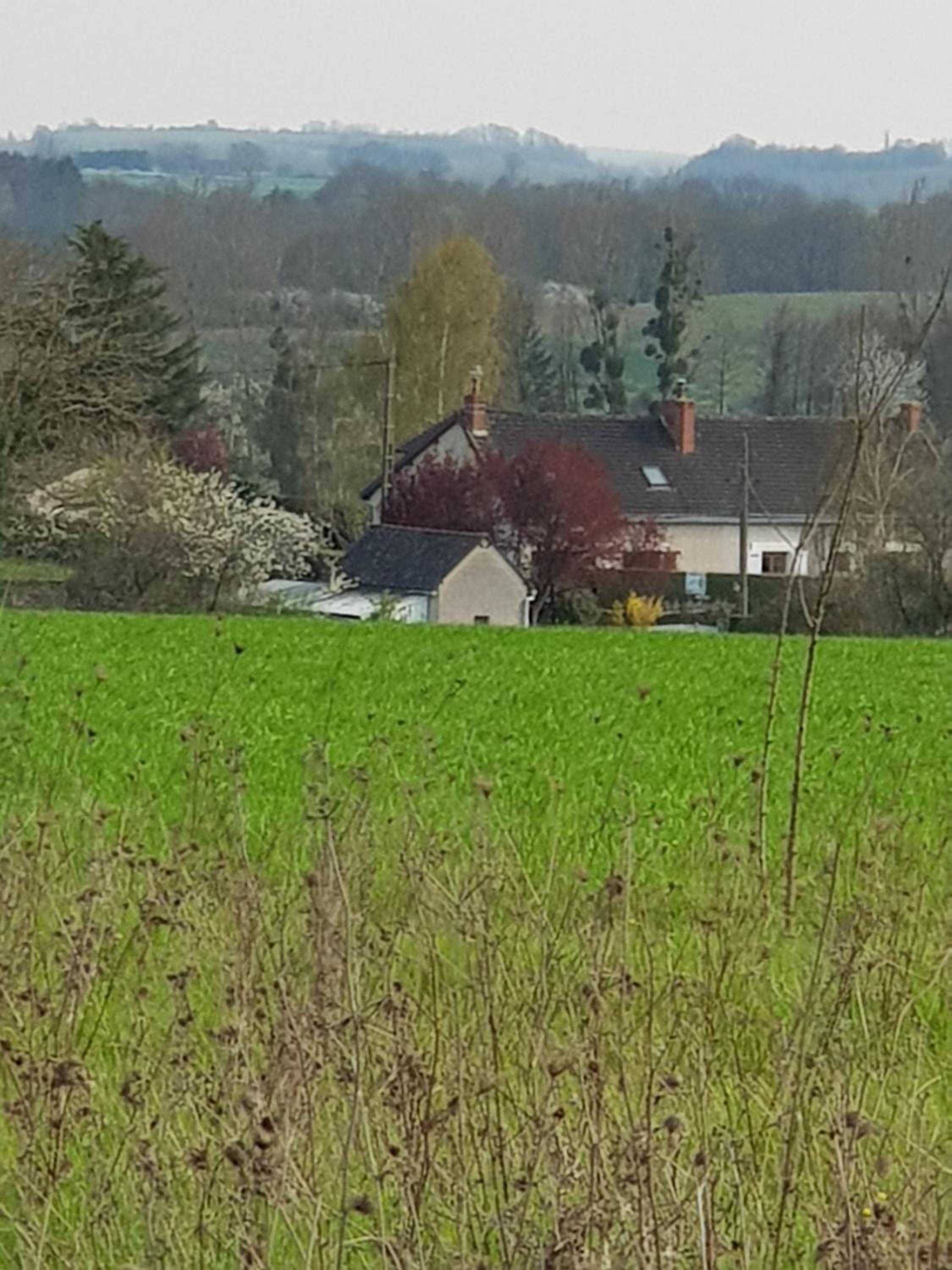 Chambres D'hôtes Anne-Marie view 4