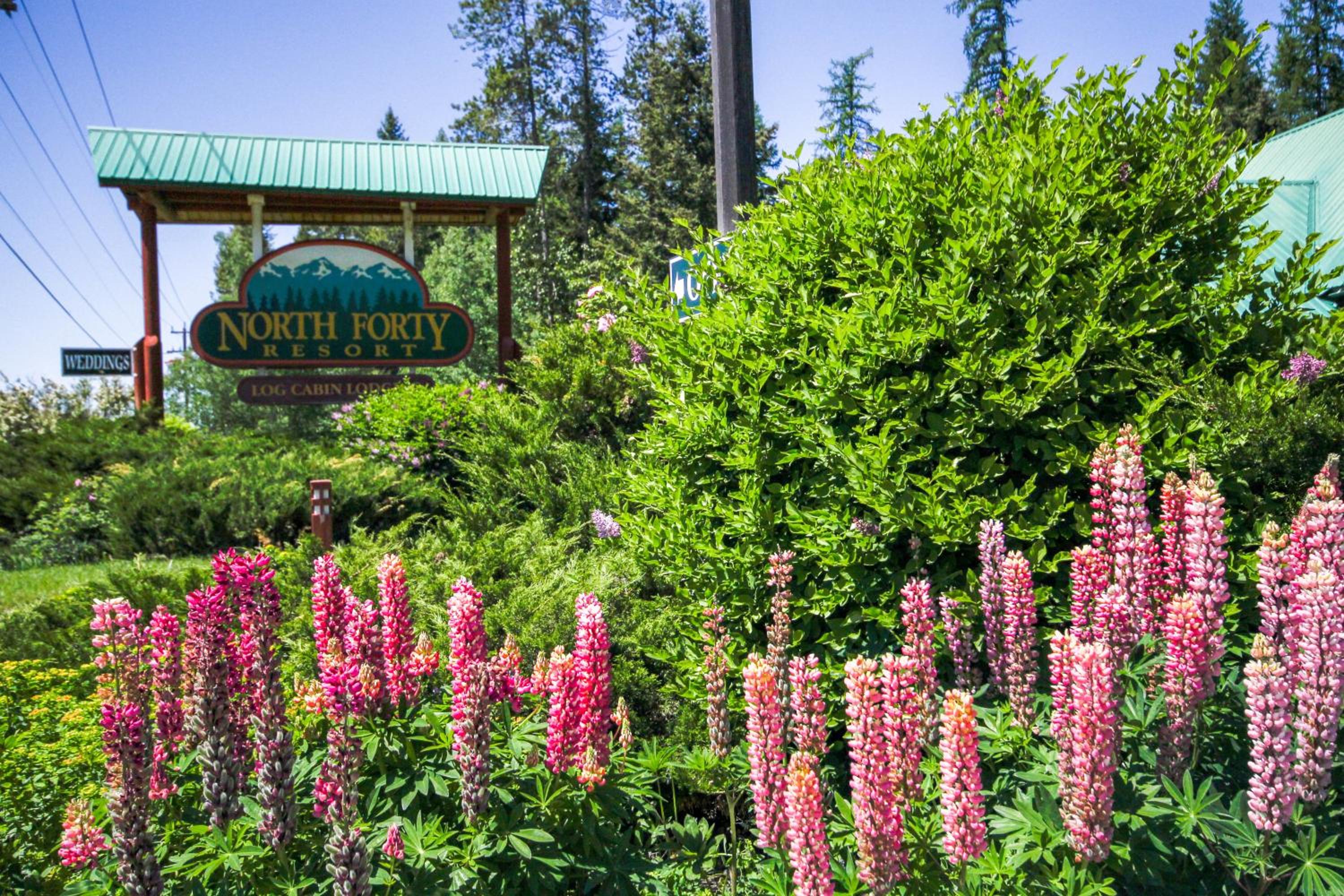 North Forty Resort
