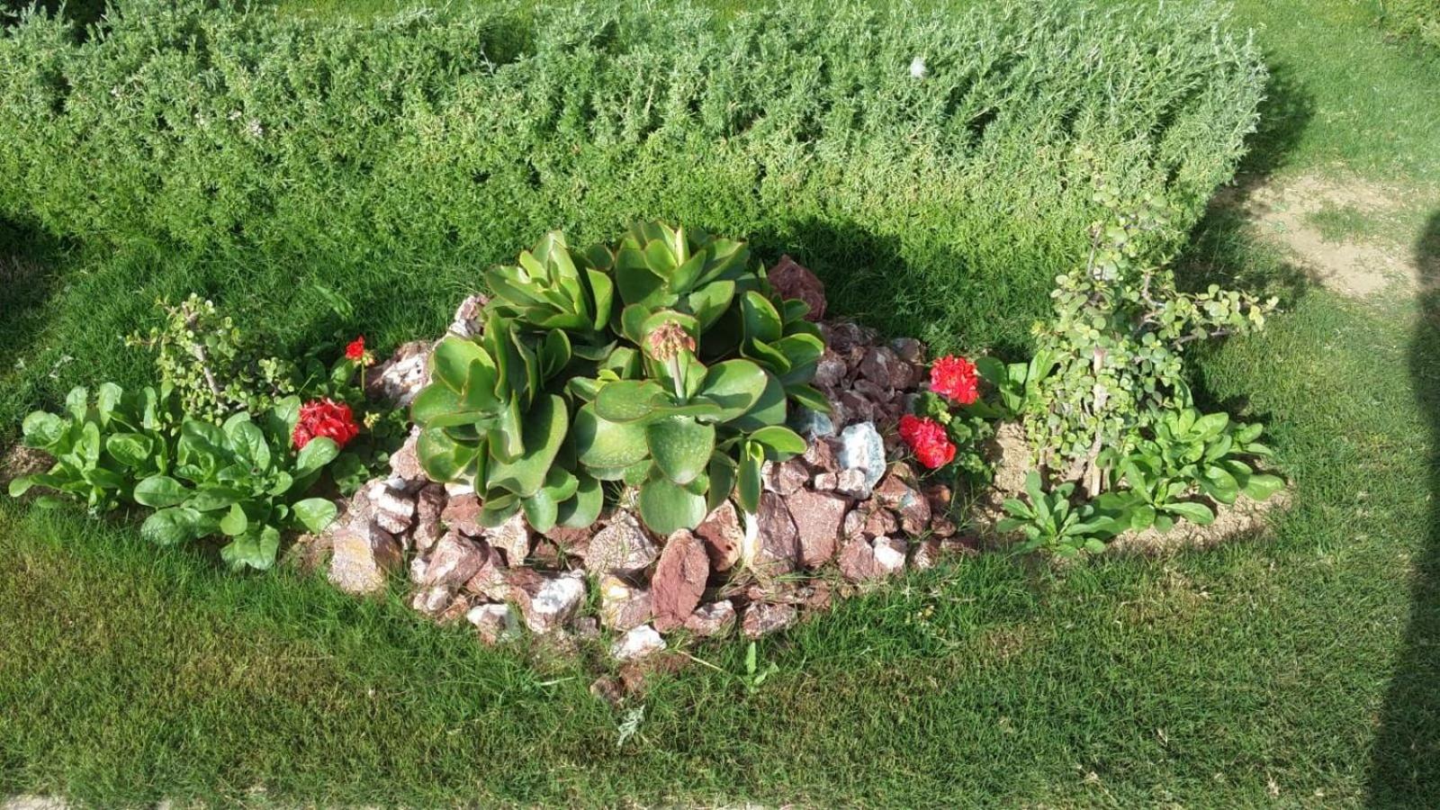 Photo 16