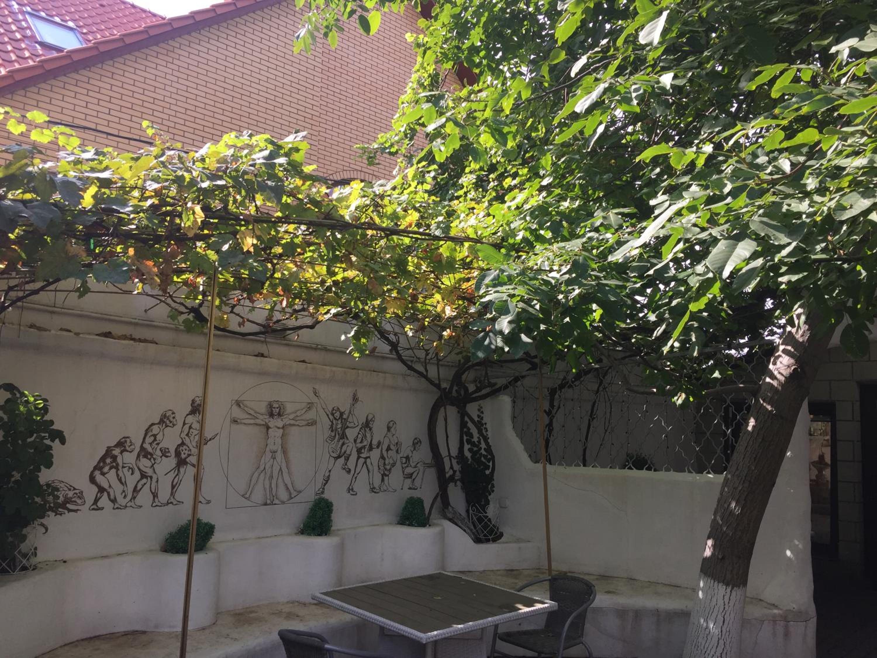 Photo 41