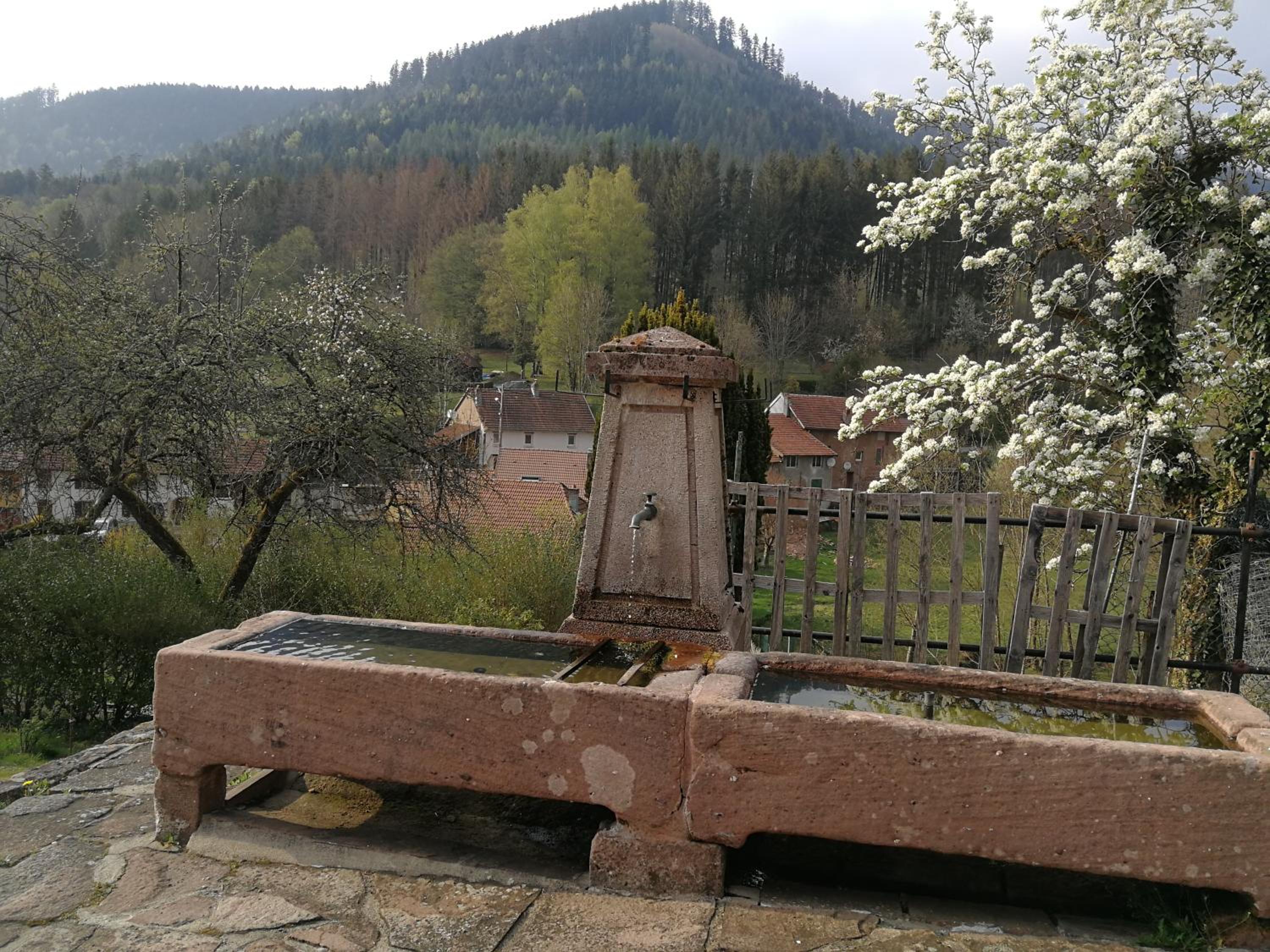 Photo 31