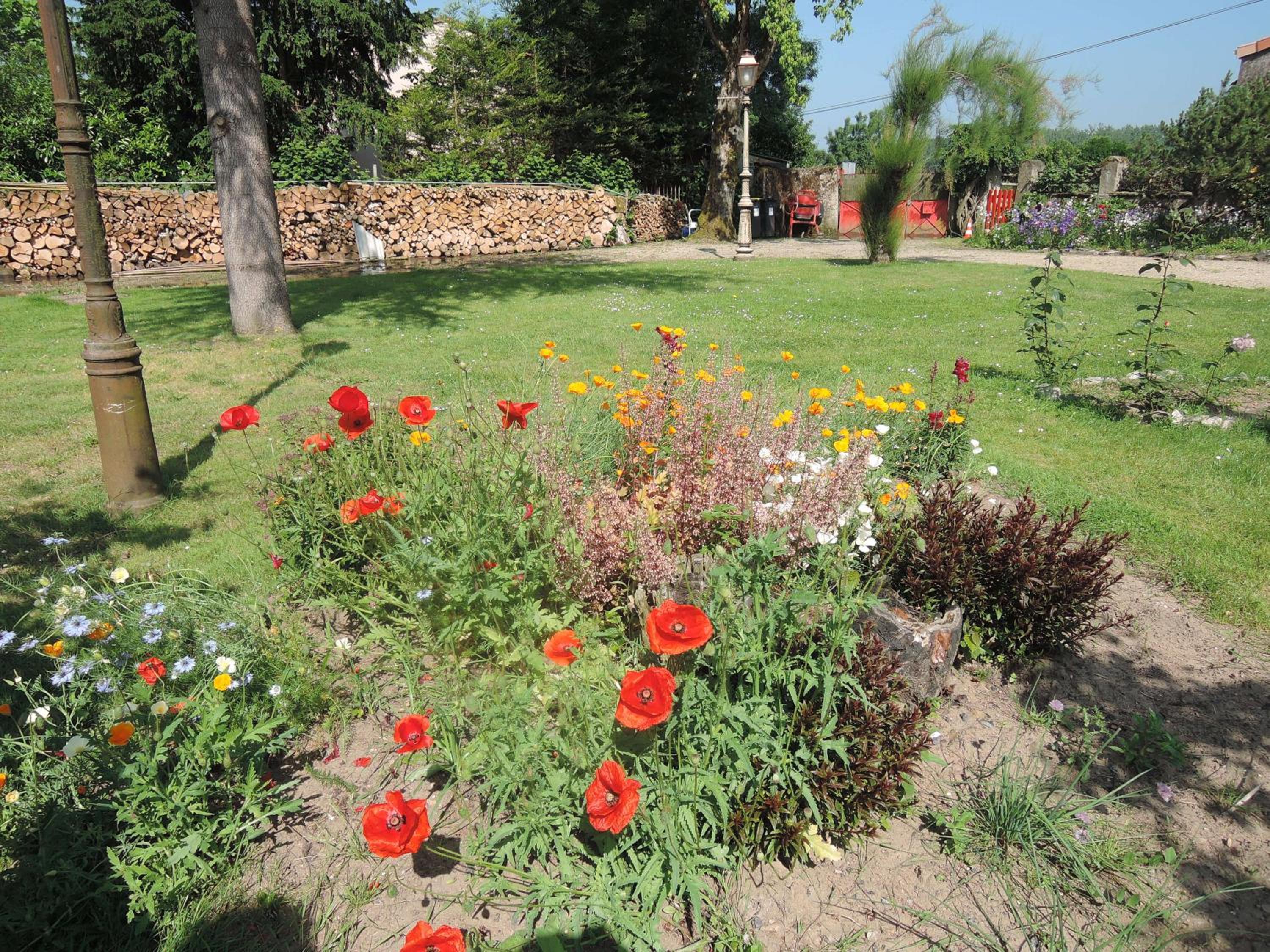 Photo 6