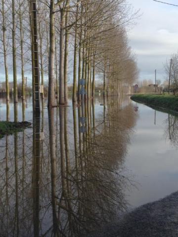 BEDLOIRE view 4