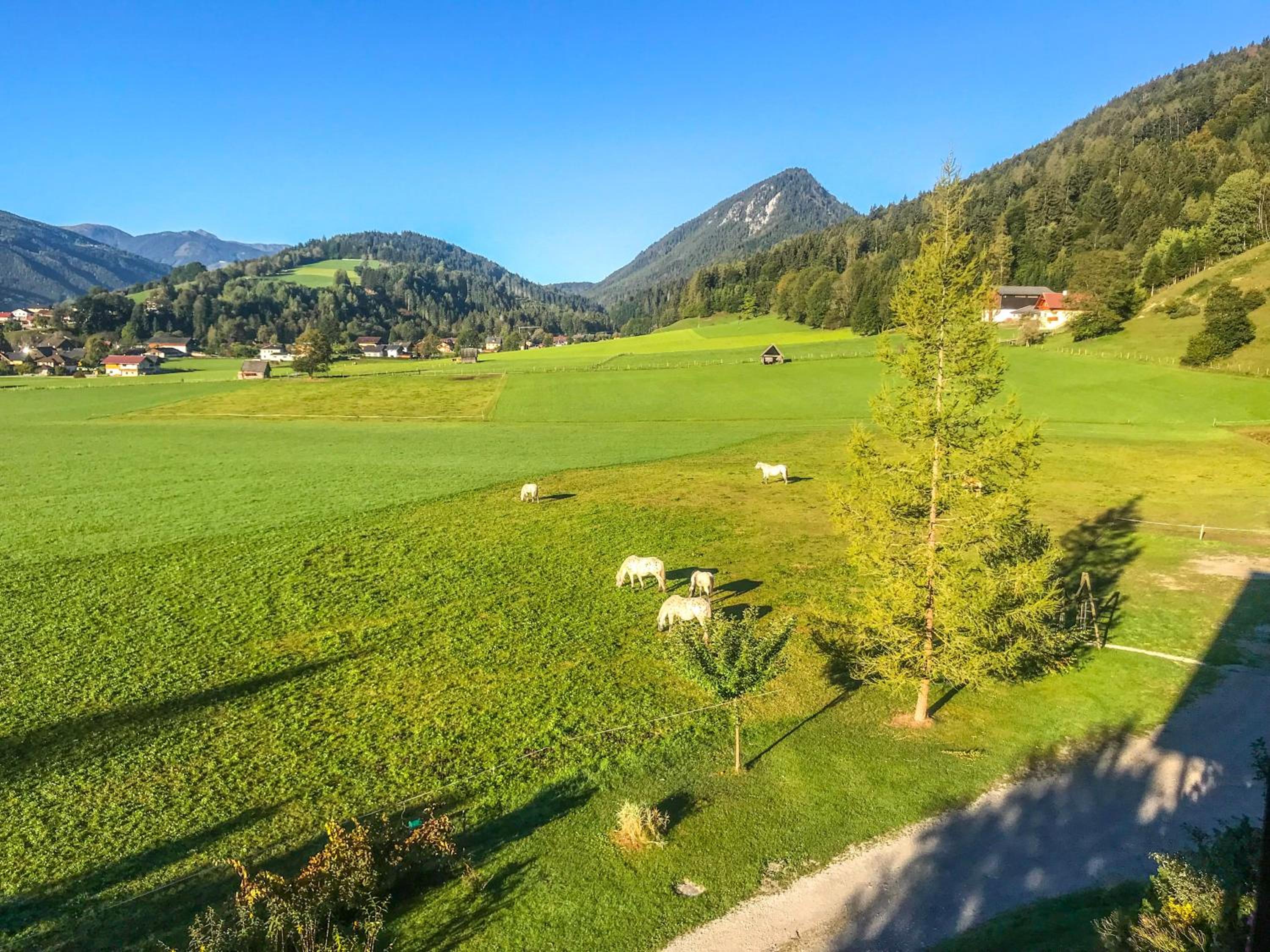 Apartmenthaus Rapplhof
