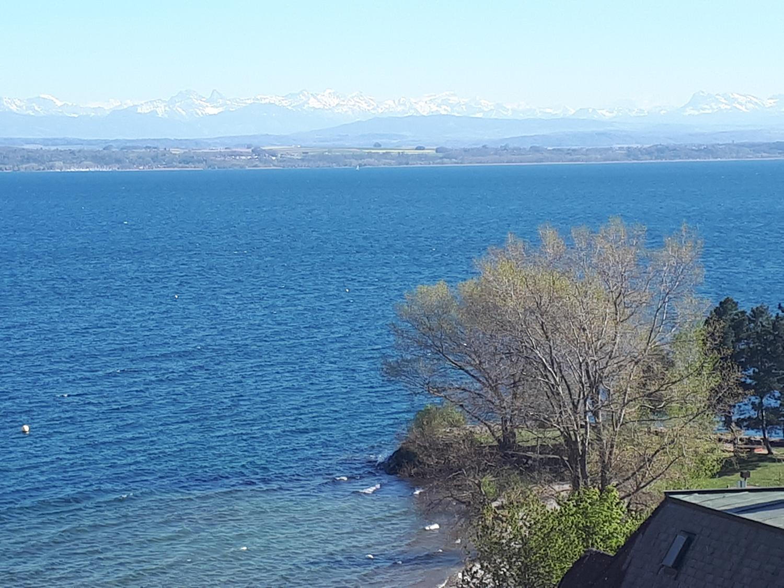 La crique de l'evole