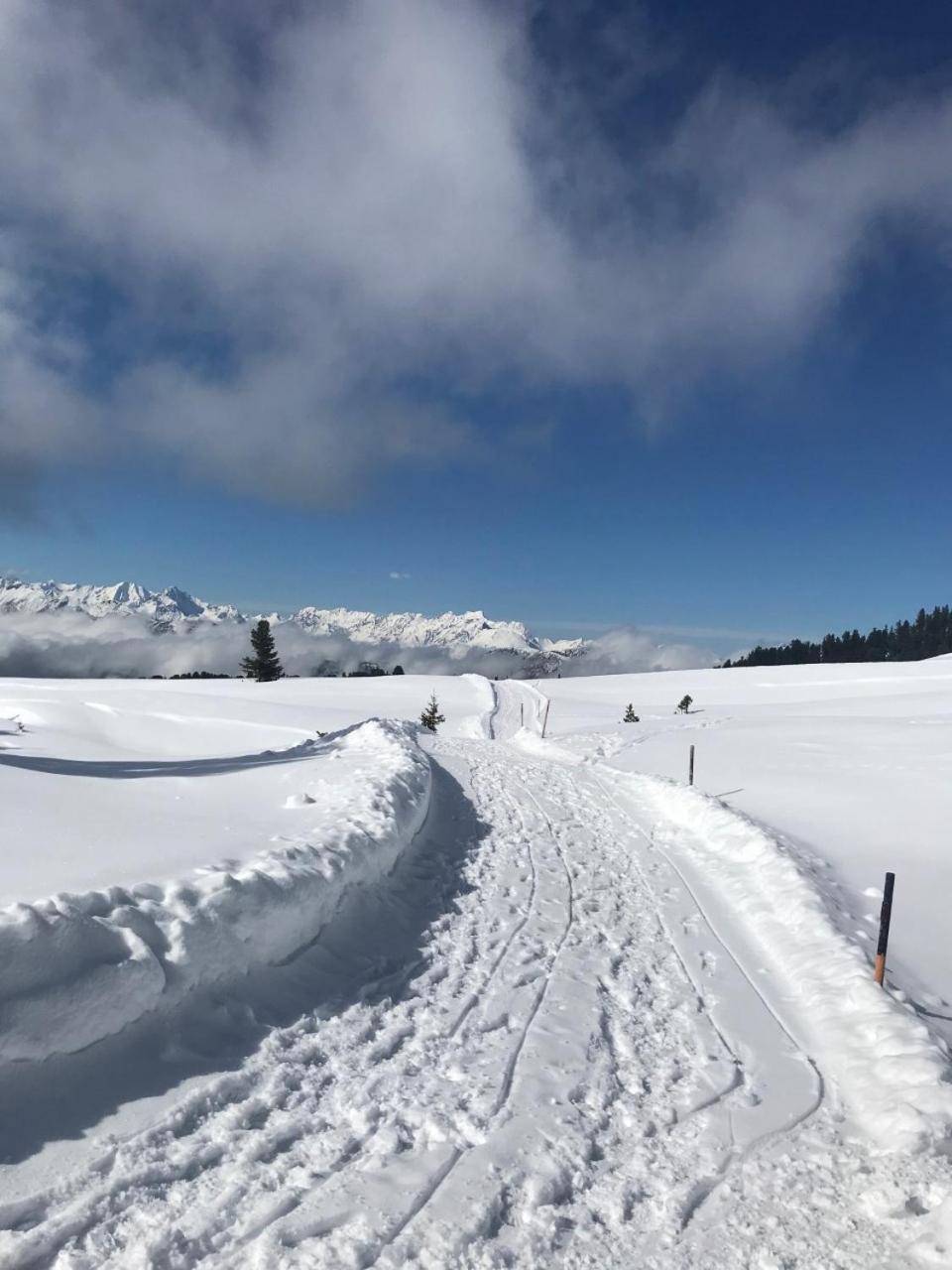 Landhaus Pitztal inklusive Sommercard
