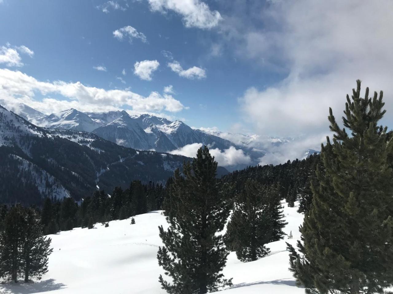 Landhaus Pitztal inklusive Sommercard