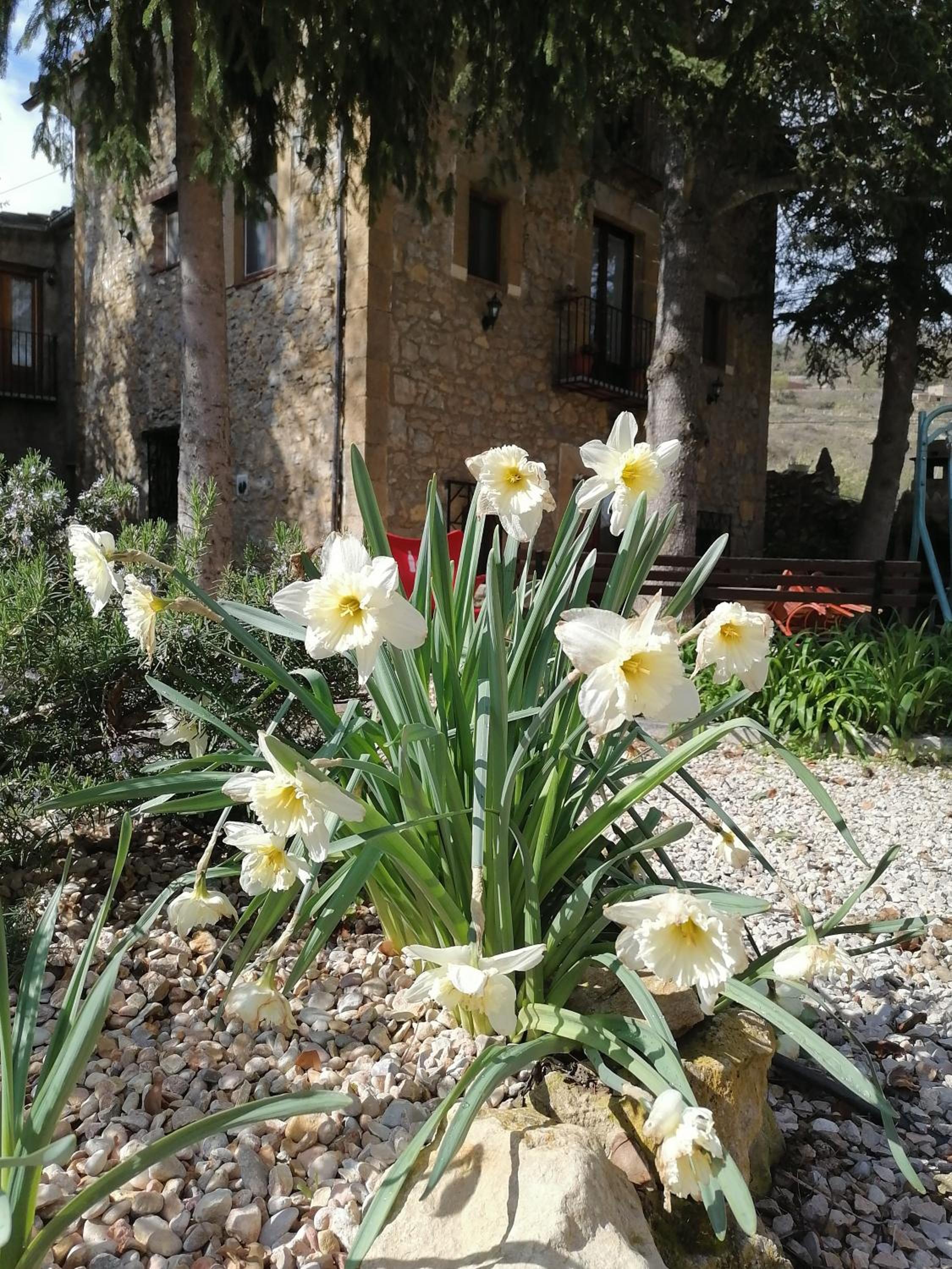 Photo 15