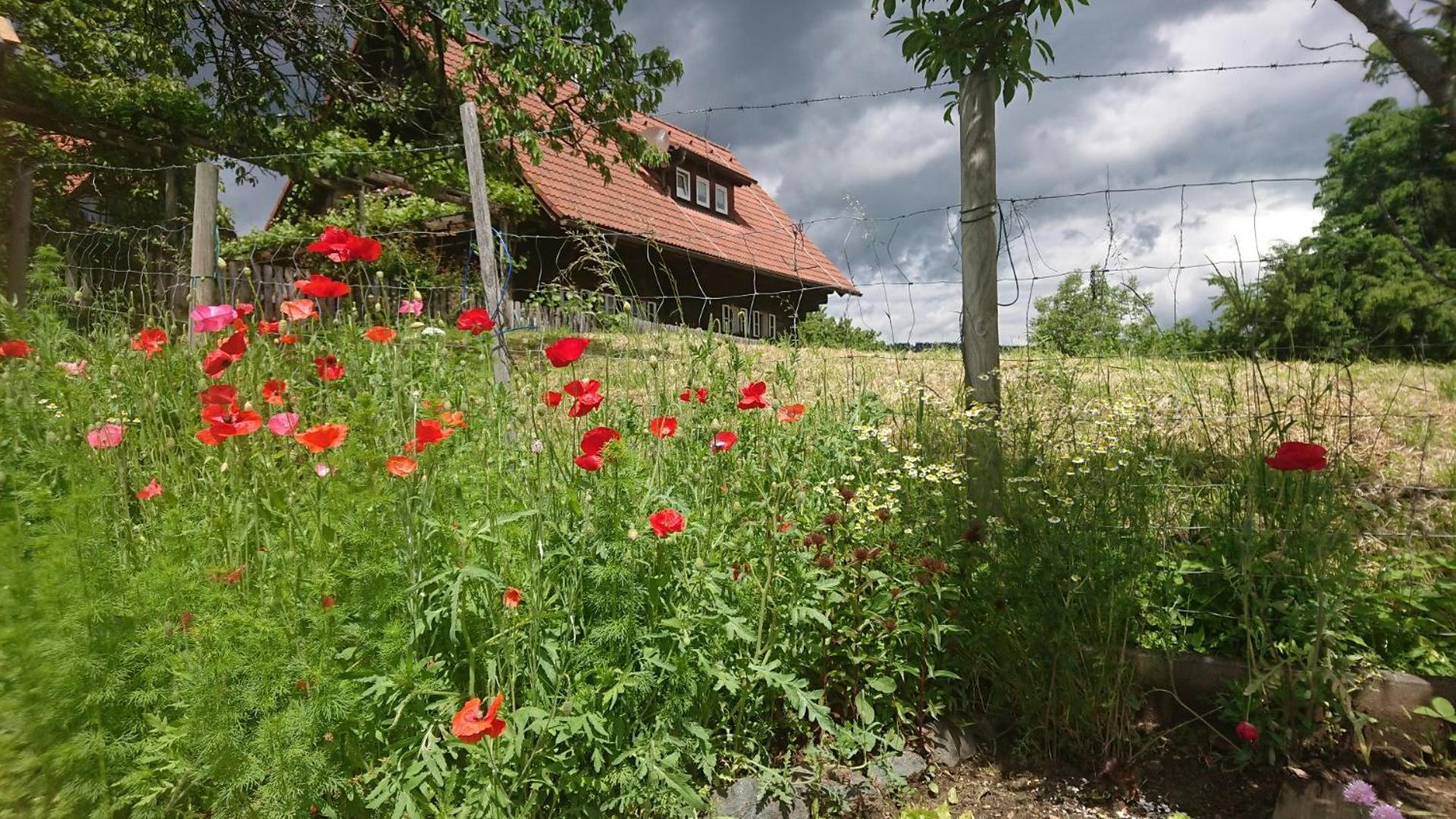 Gästehaus der Gamser Winzerstube
