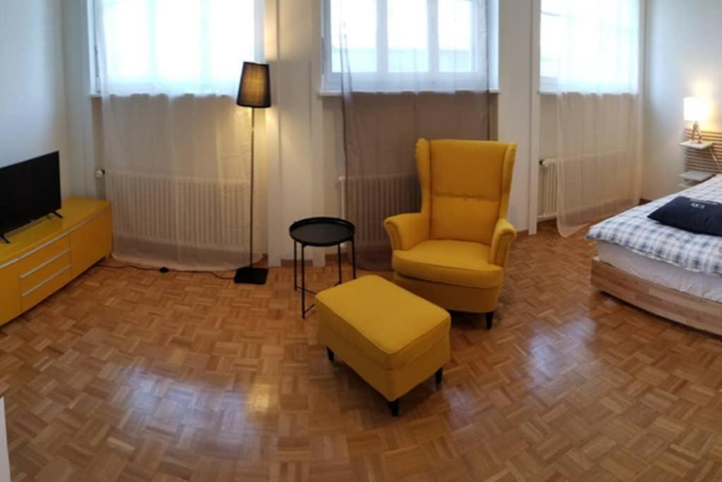 HSH Barre 6 - City Apartment next Cathedral Lausanne view 5