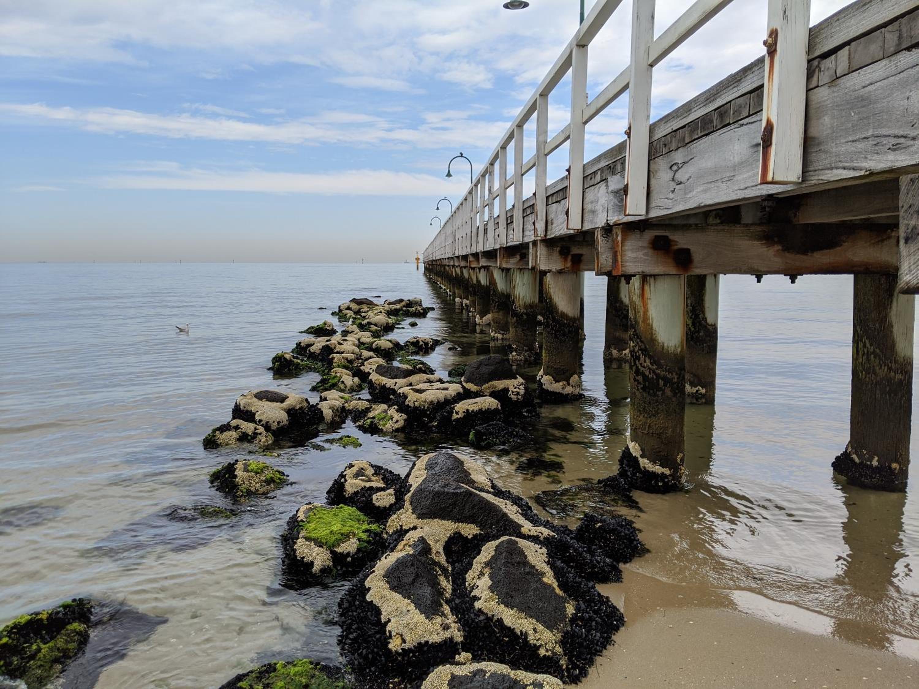 StayCentral - Spacious Seaviews Port Melbourne