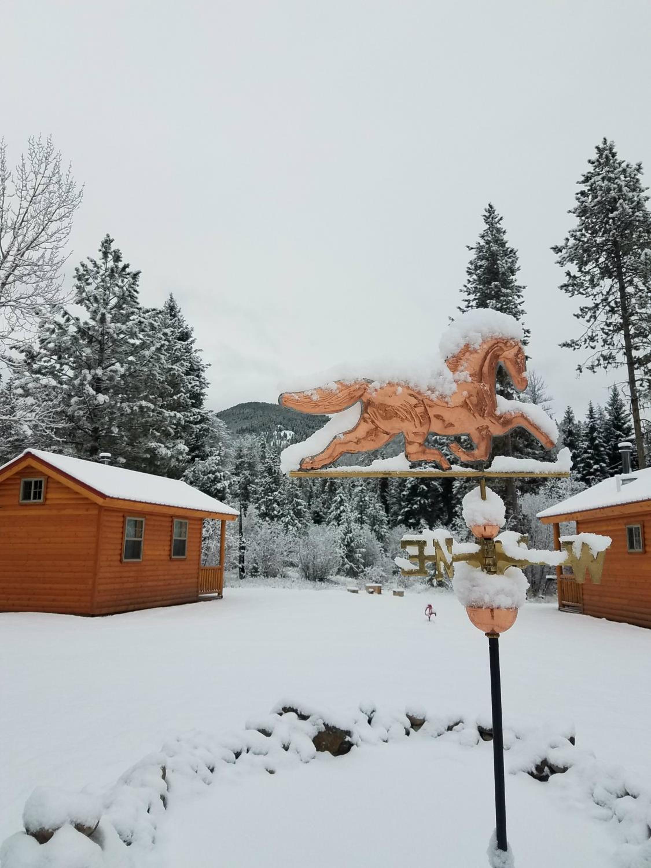 The Wild Game Inn