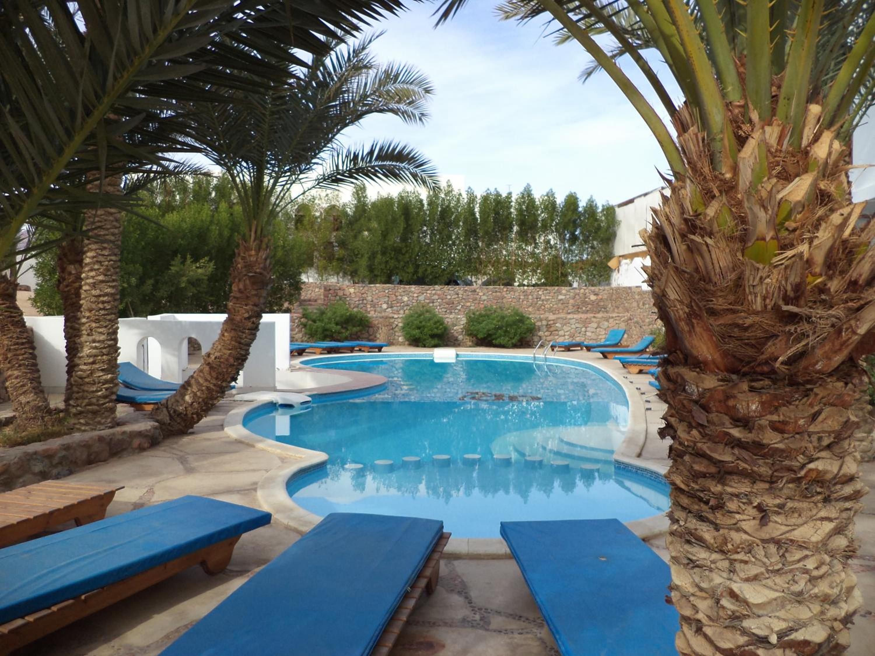 Dahab Divers