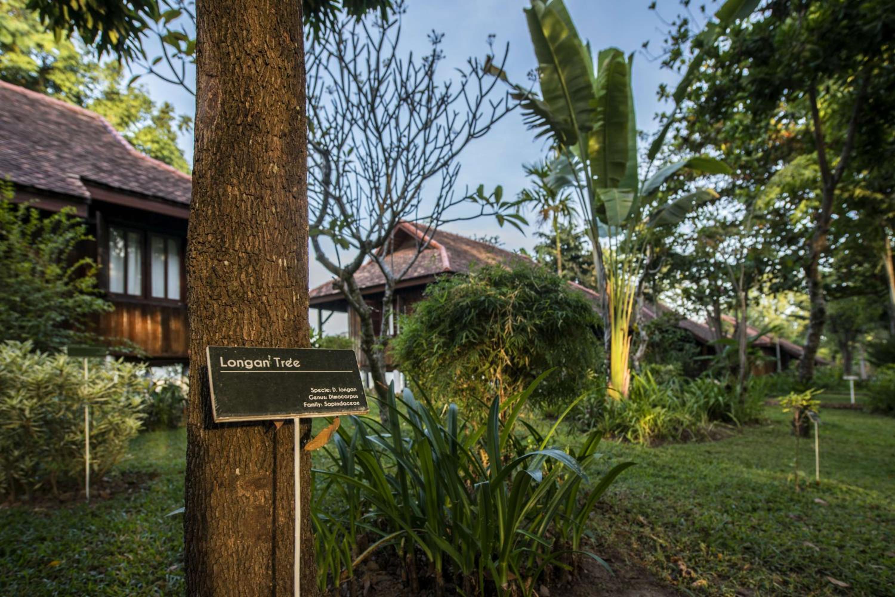La Folie Lodge