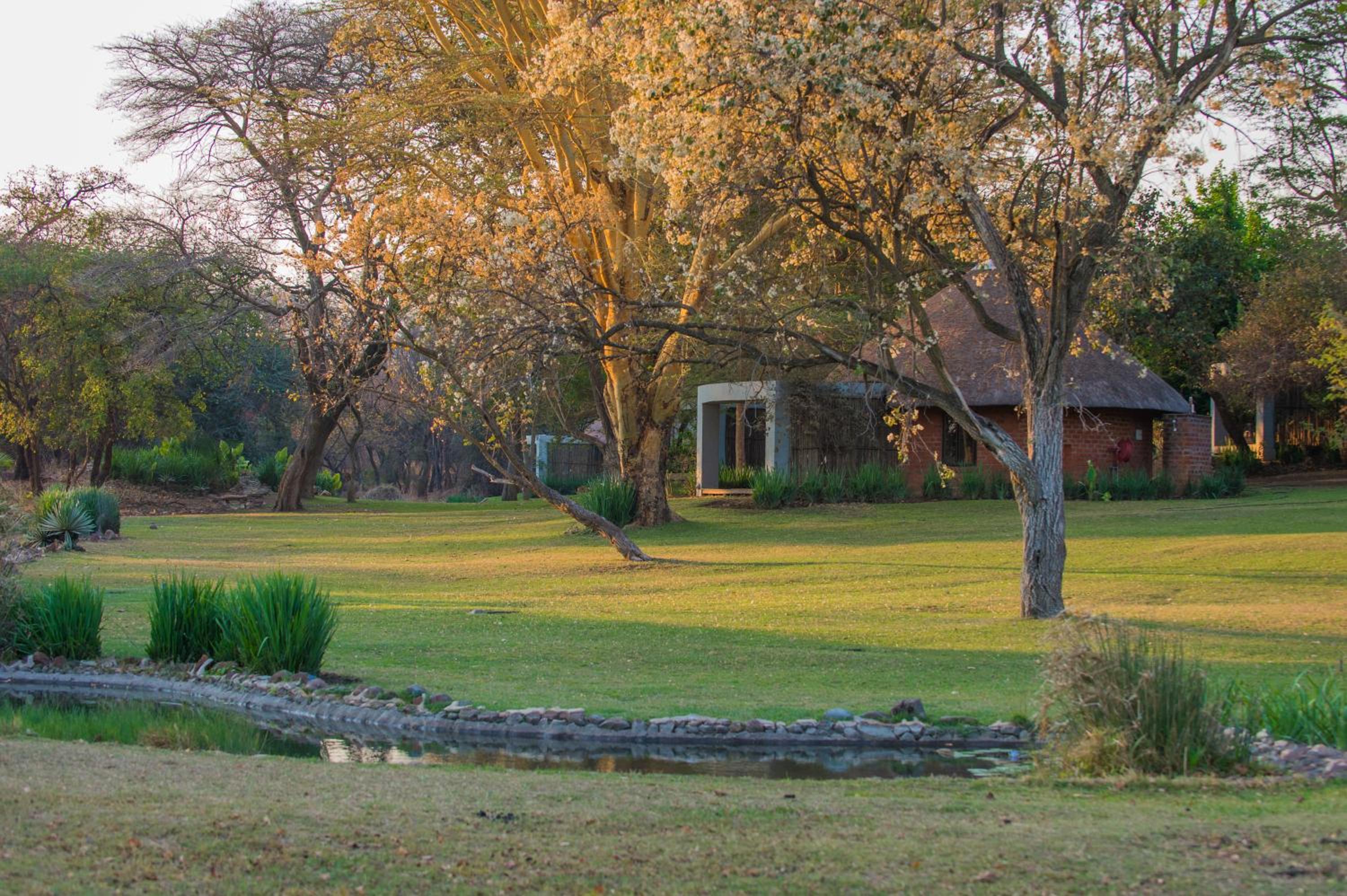 Lilayi Lodge