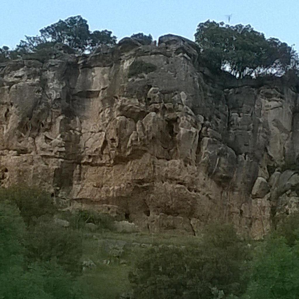 Photo 63