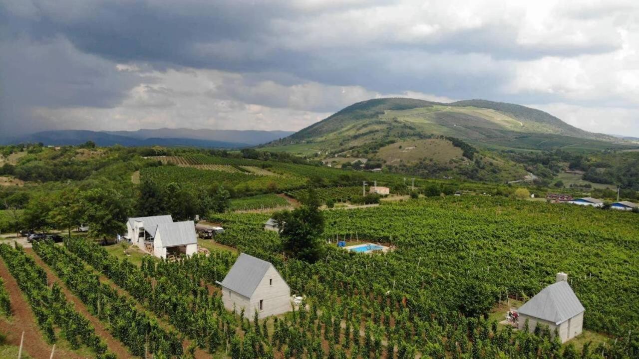 Csernus Doki bor-grillterasza és bungallói view 2