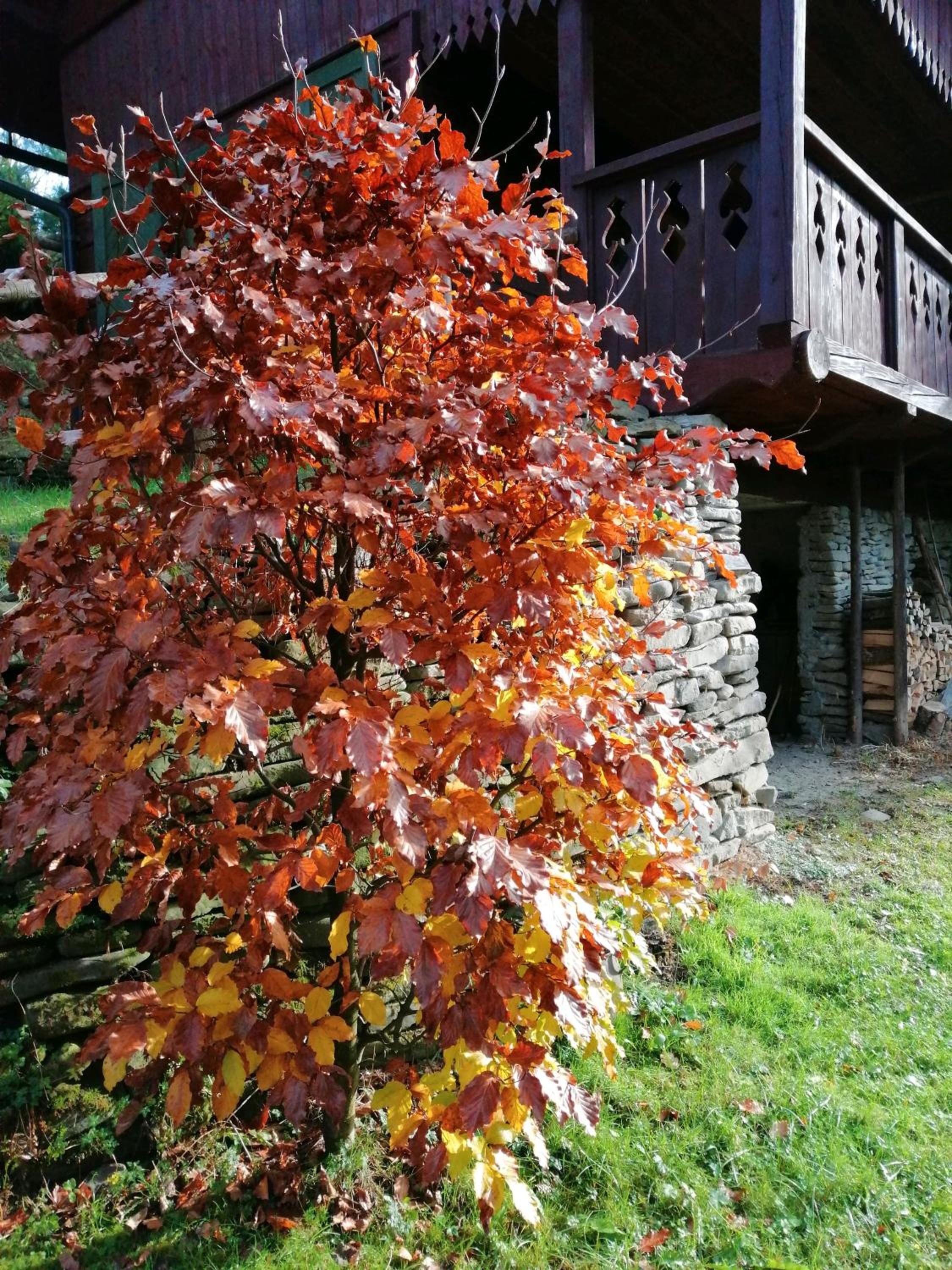 Photo 20