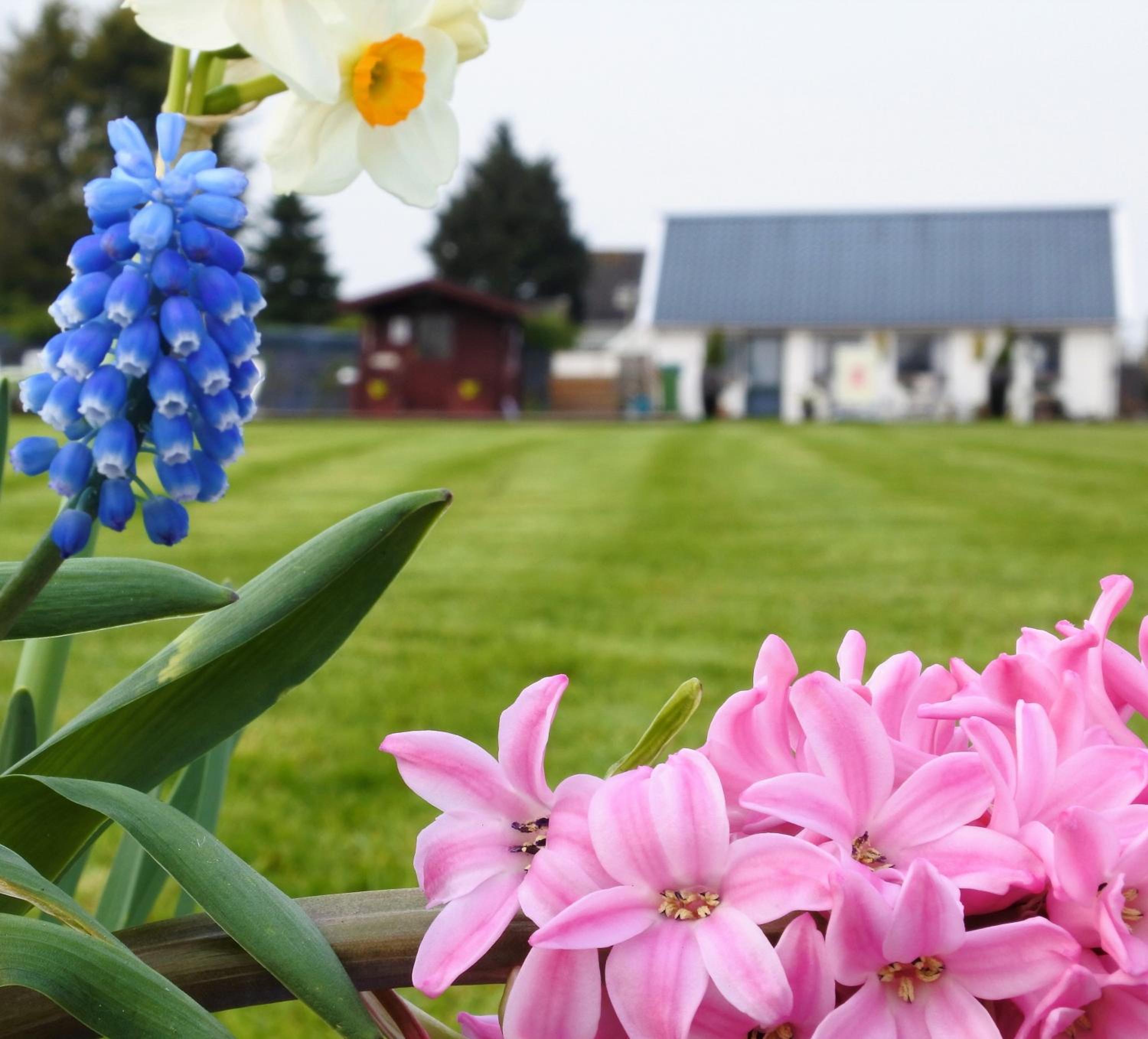 Sfeervol Appartement Het Knooppunt - Property Image 19