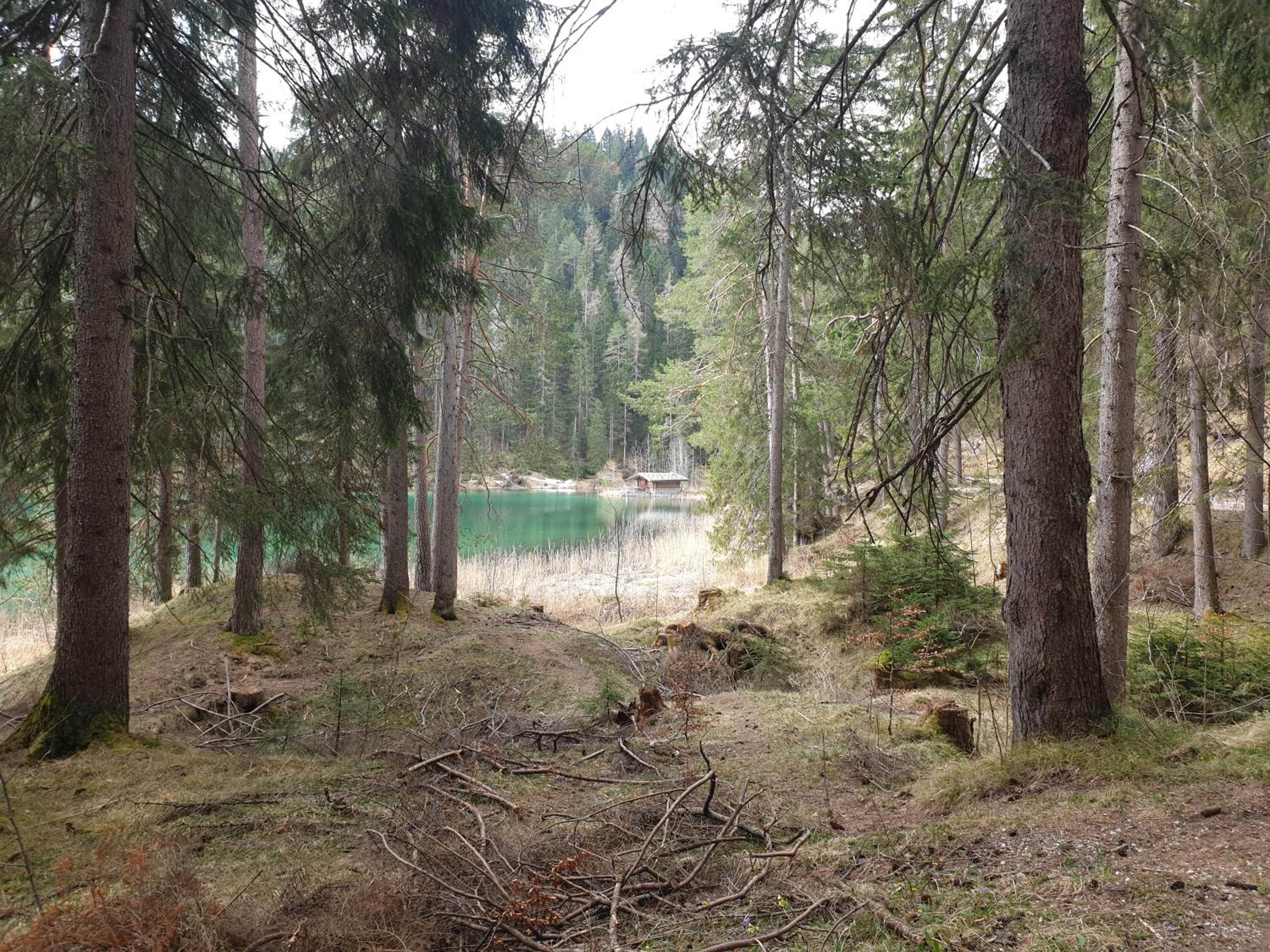 Photo 50