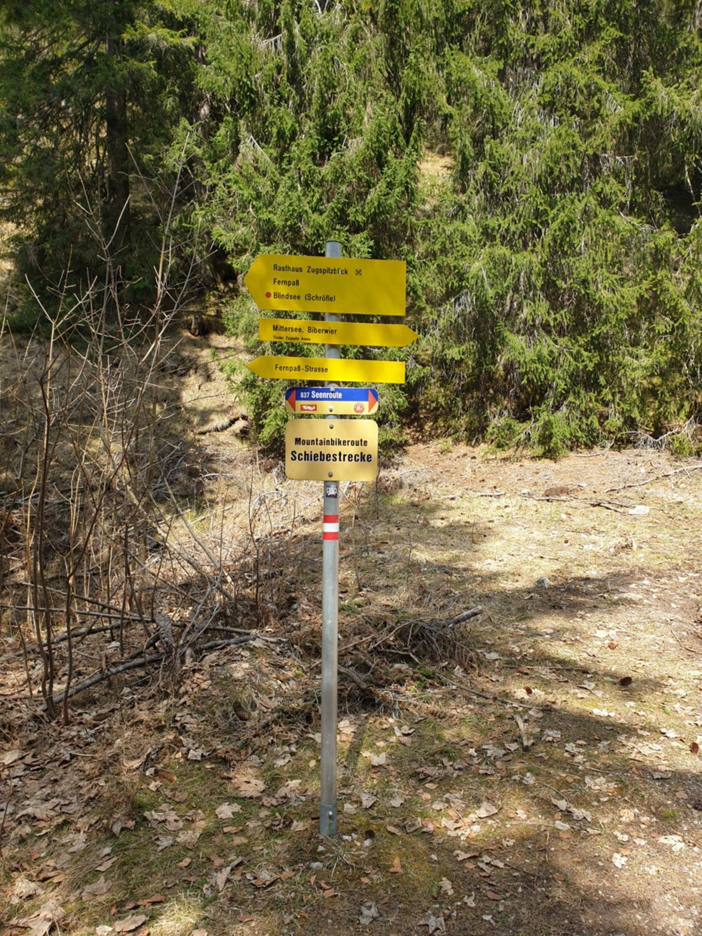 Photo 48