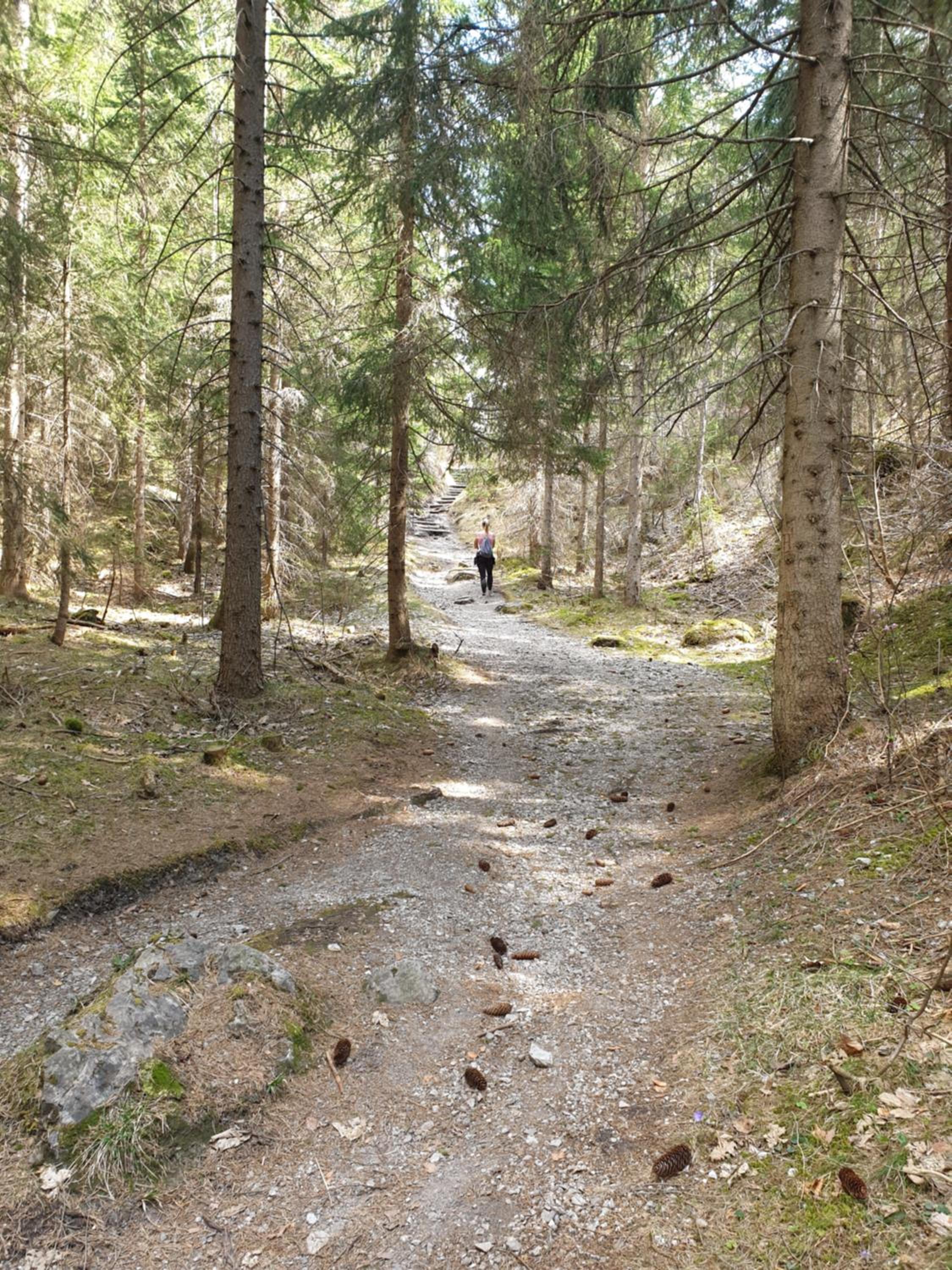 Photo 47