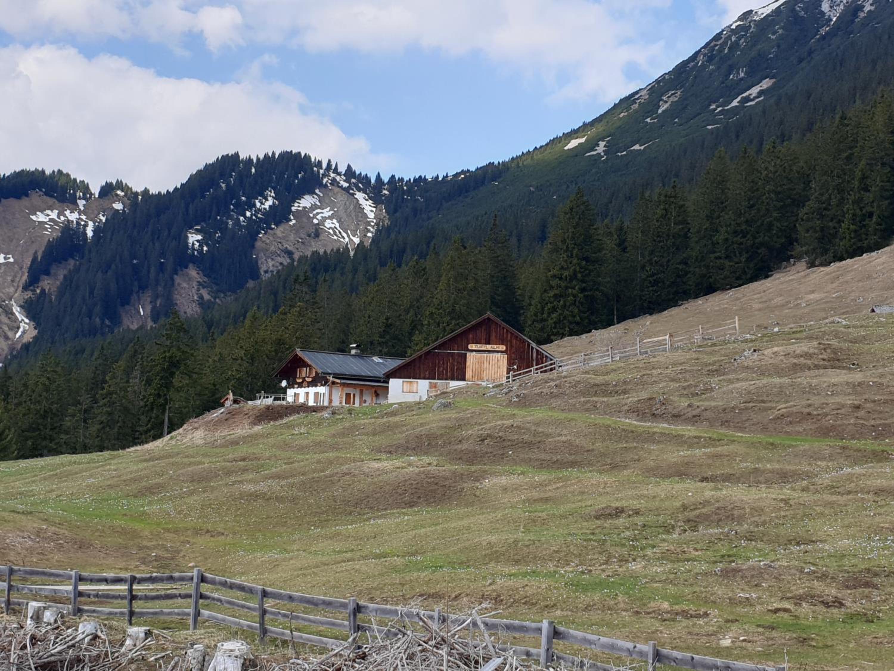 Photo 42