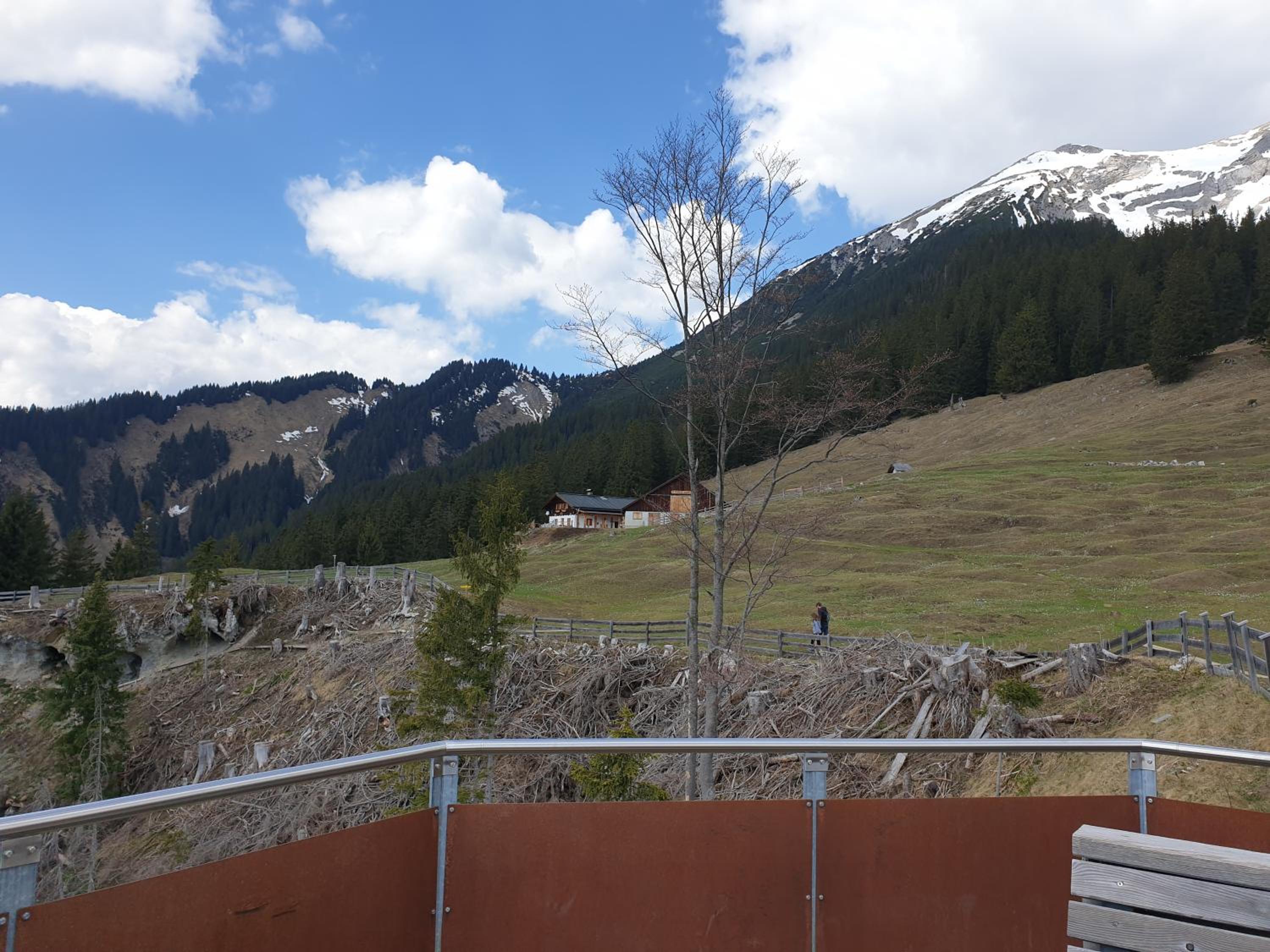 Photo 41