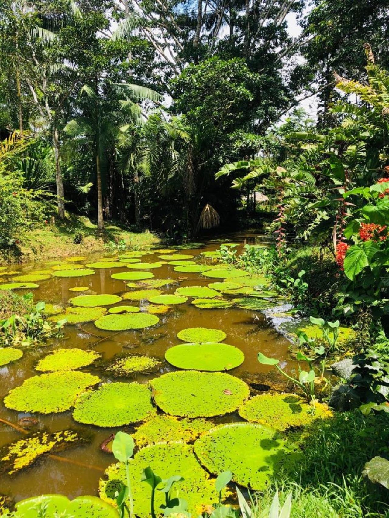 Eco Hotel Aldea -AMAZONAS