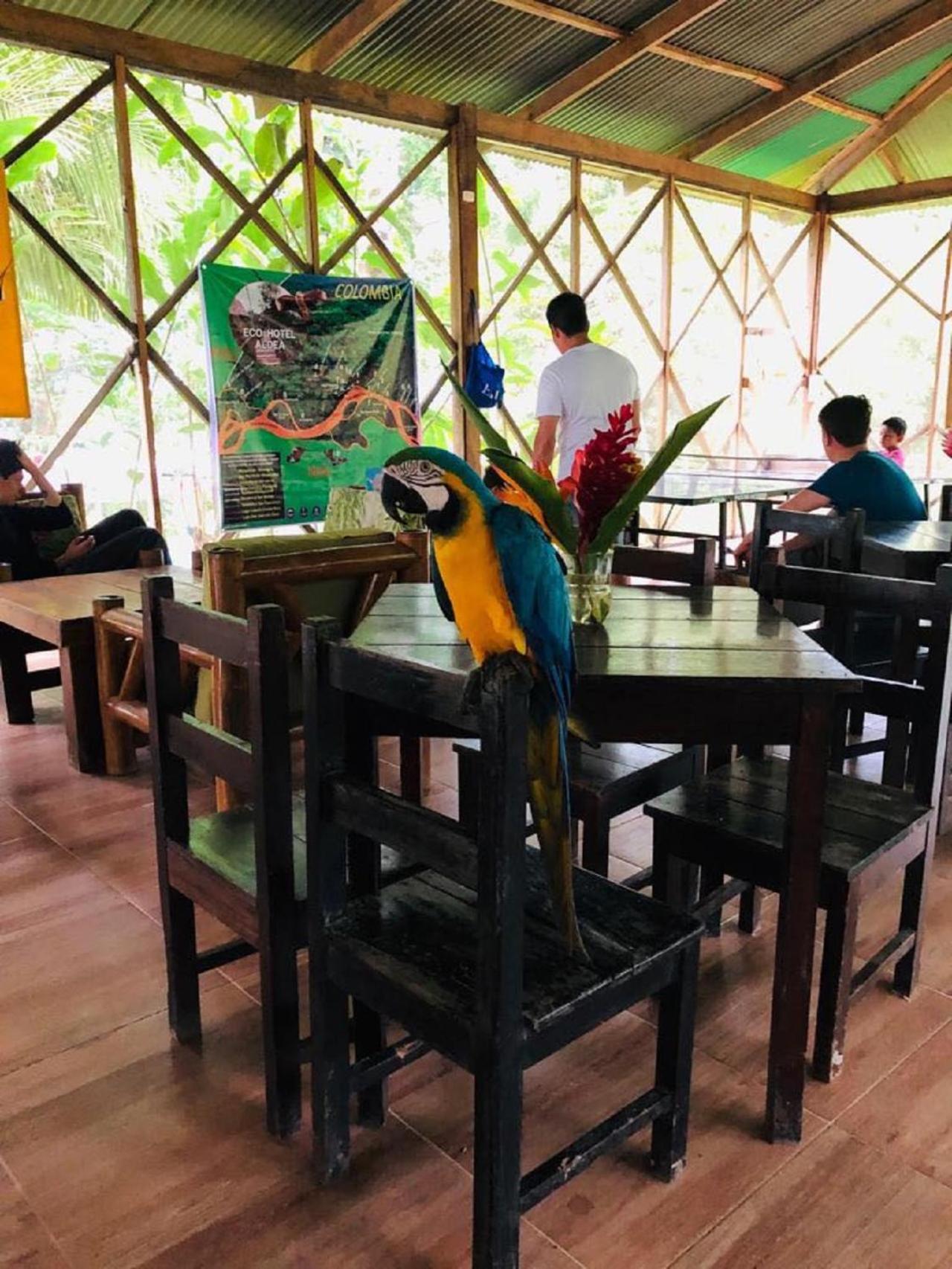 Eco Hotel Aldea -AMAZONAS