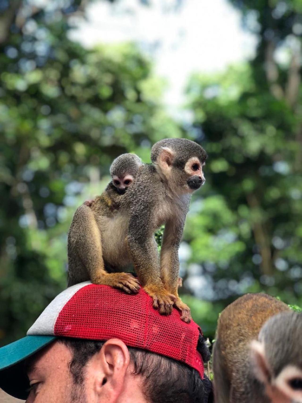 Eco Hotel Aldea -AMAZONAS