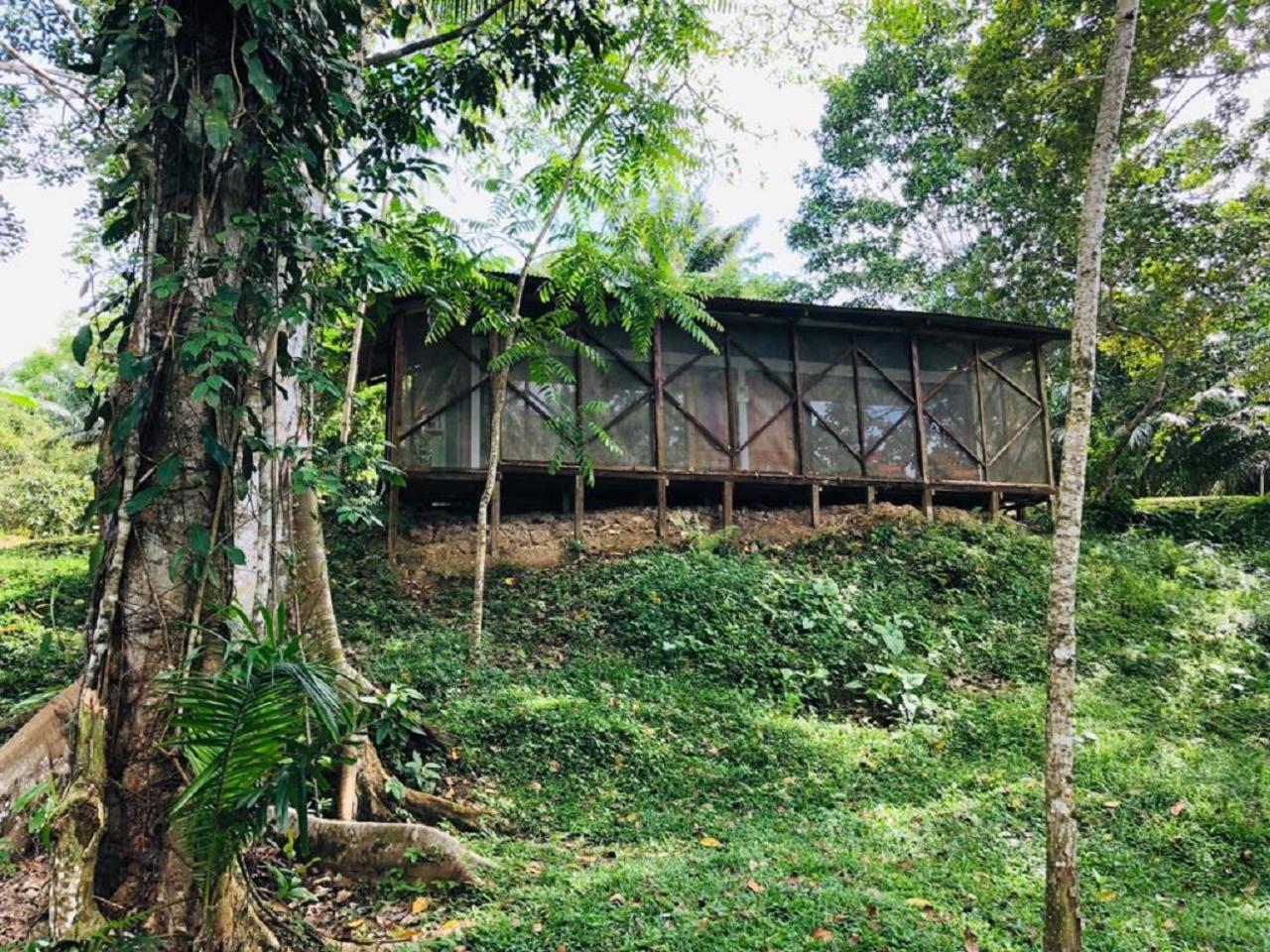 Eco Hotel Aldea -AMAZONAS