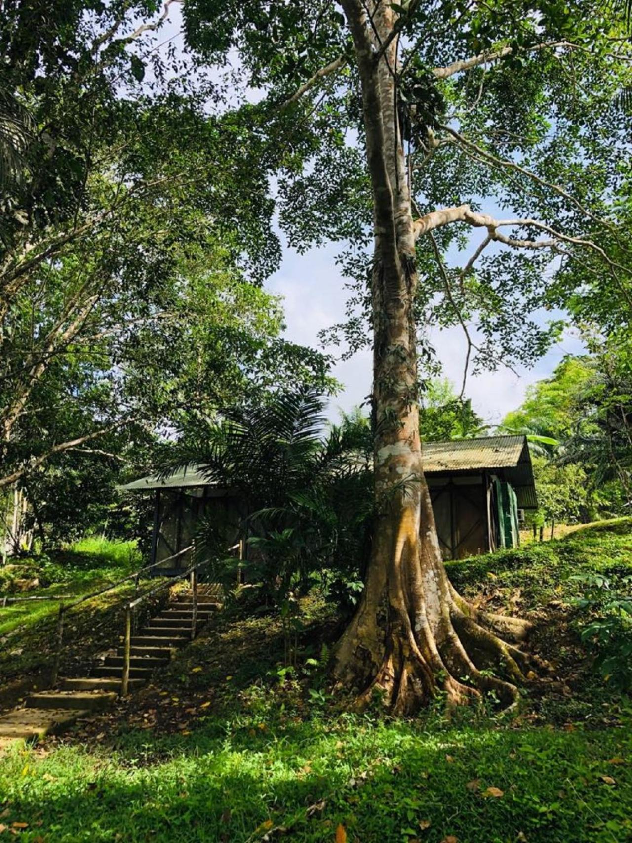 Eco Hotel Aldea -AMAZONAS