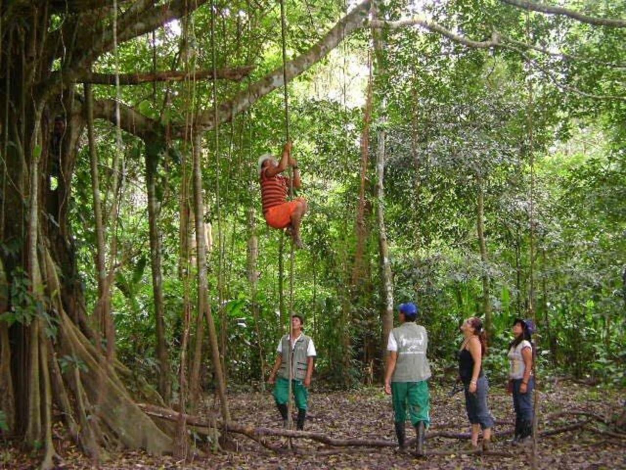Eco Hotel Aldea -AMAZONAS