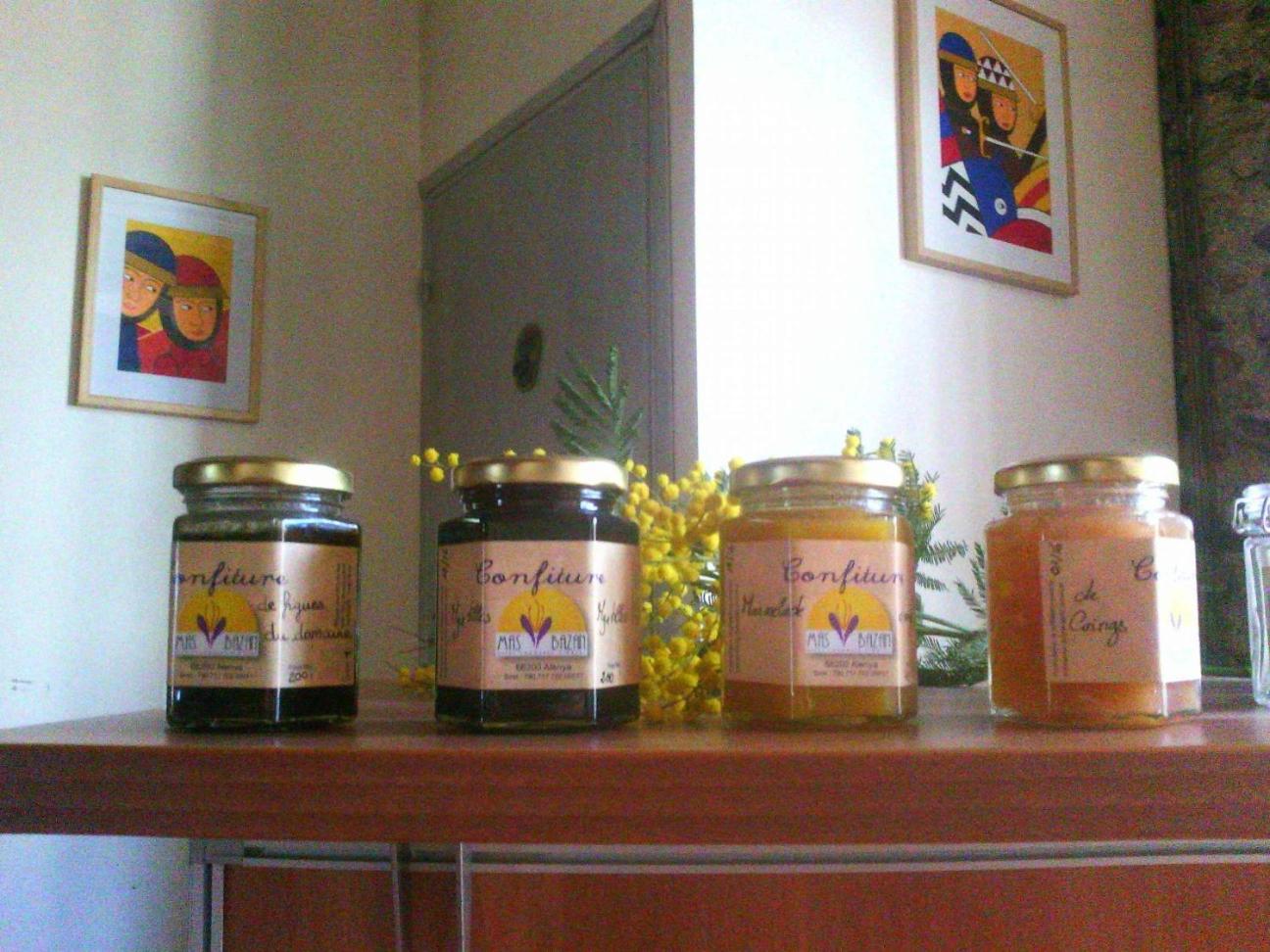 Domaine du Mas Bazan