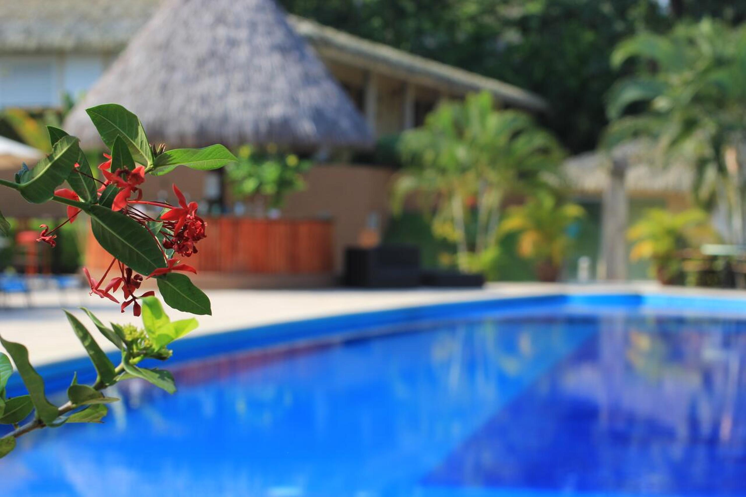 Palenque Vacations - Hotel Villa Mercedes Palenque - Property Image 12