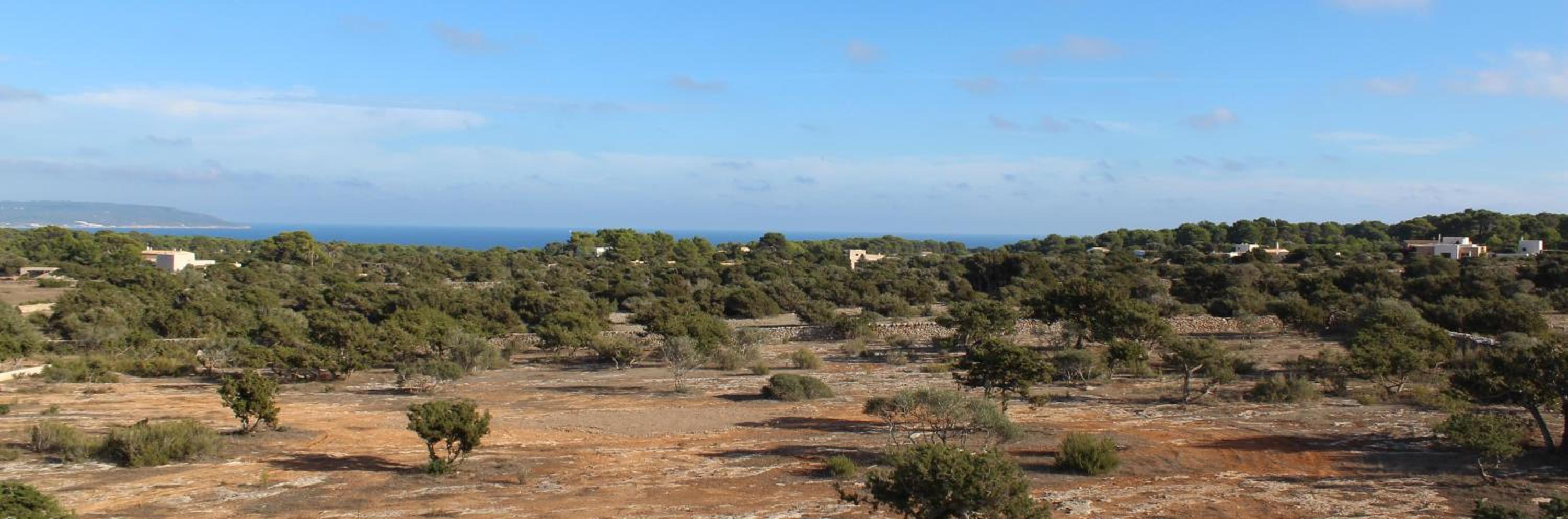 Casa Santolina view 2