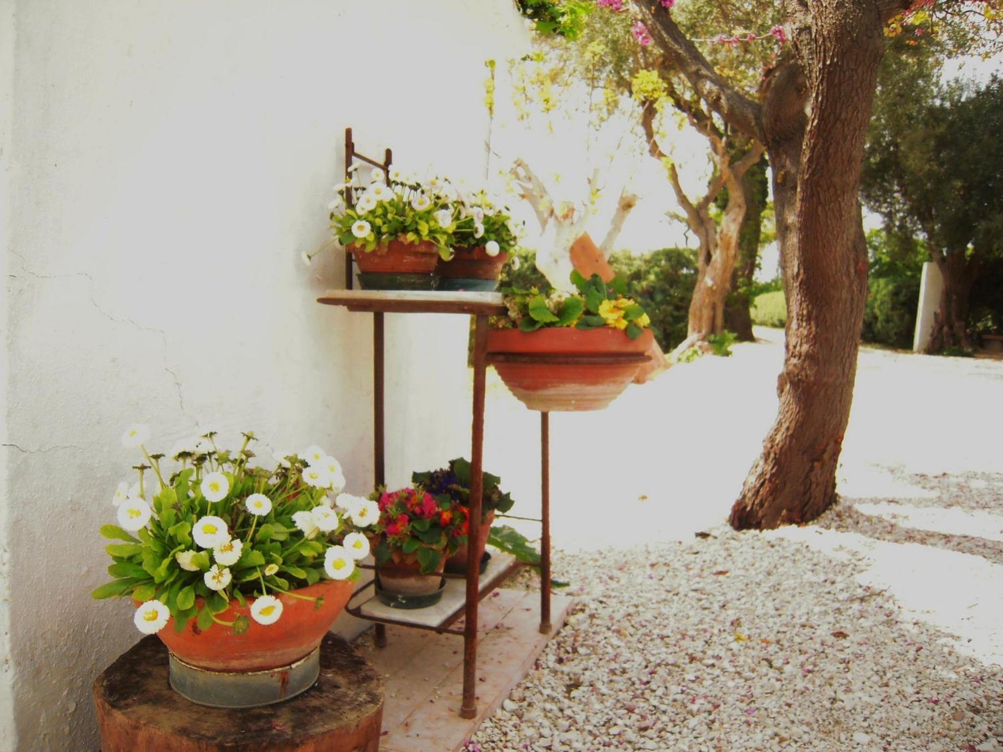 Agriturismo Ponterosa