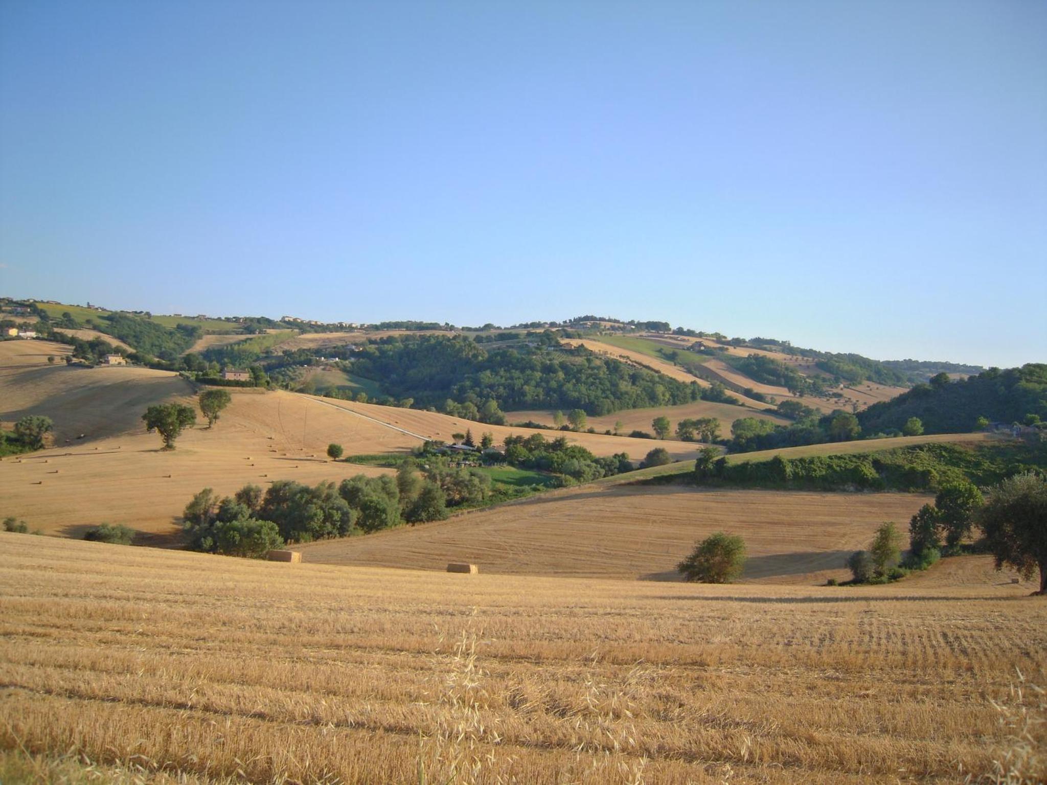 Agriturismo Ponterosa