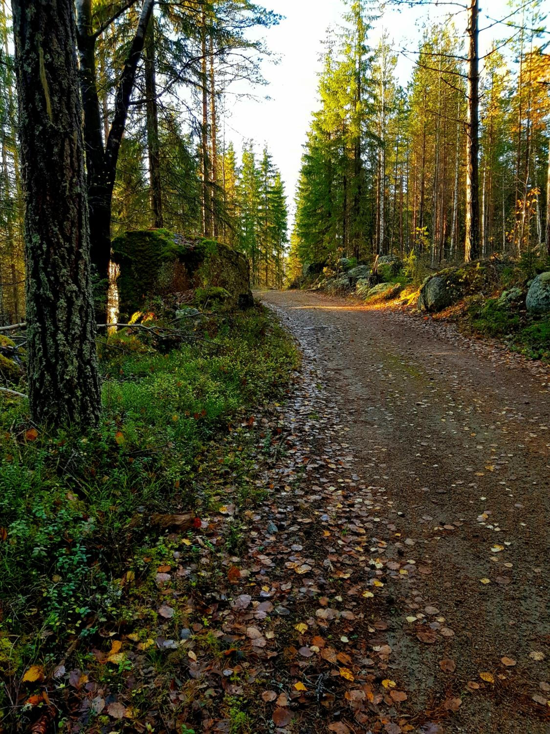 Photo 47