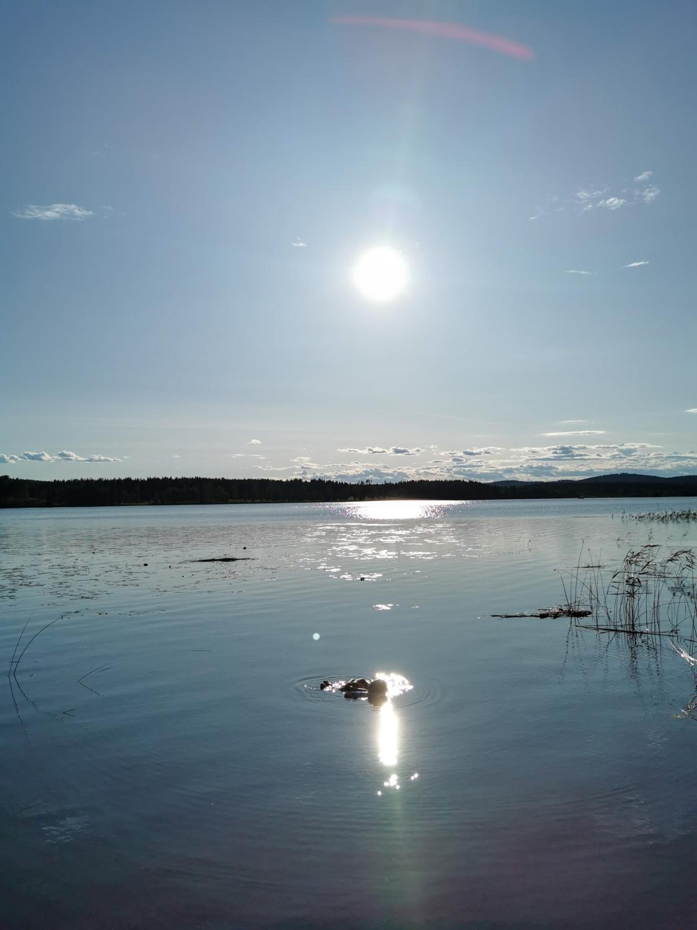 Photo 53