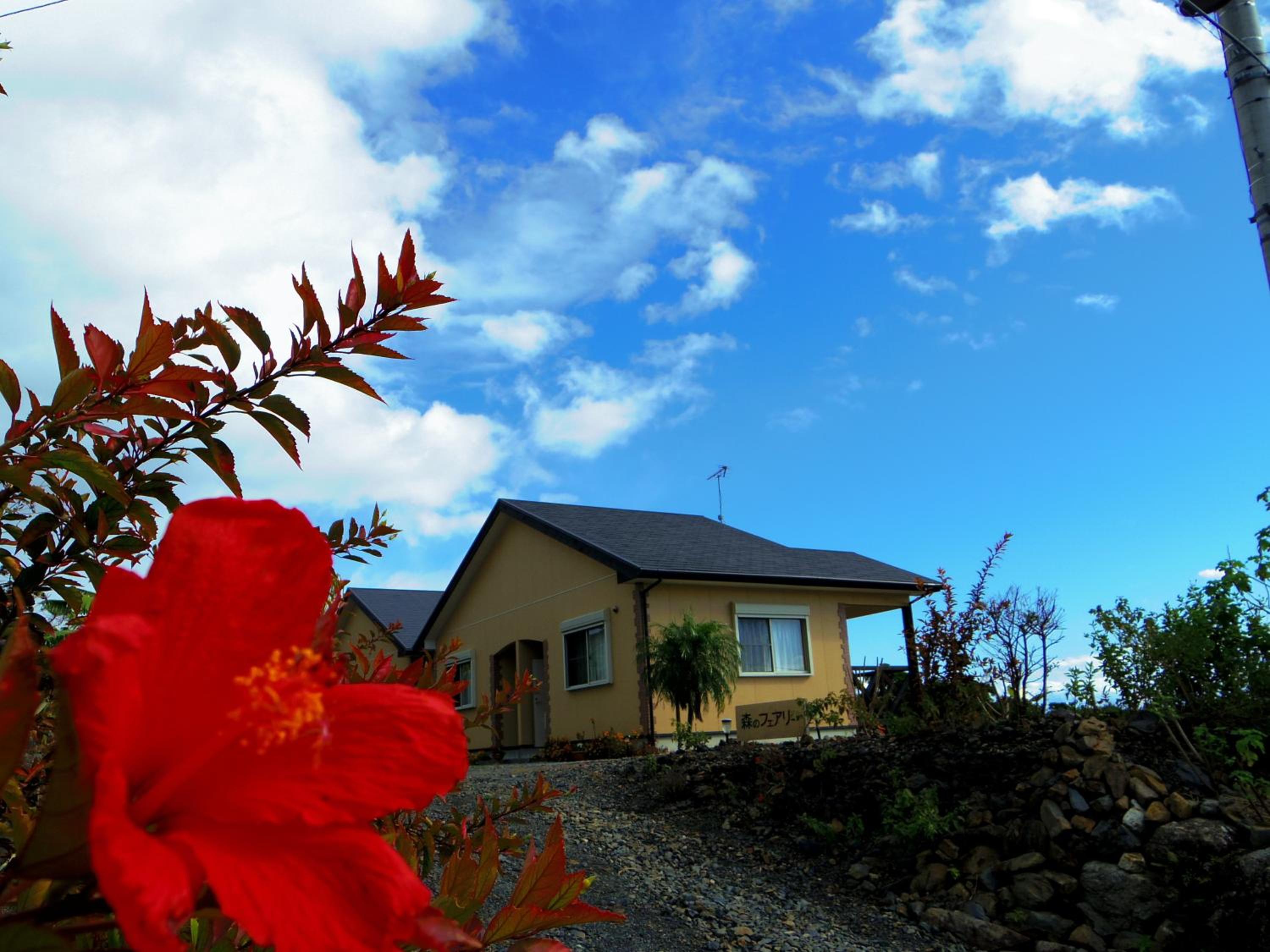 森のフェアリー Cottage Morino Fairy All cotage with open-air bath with sea view or river view