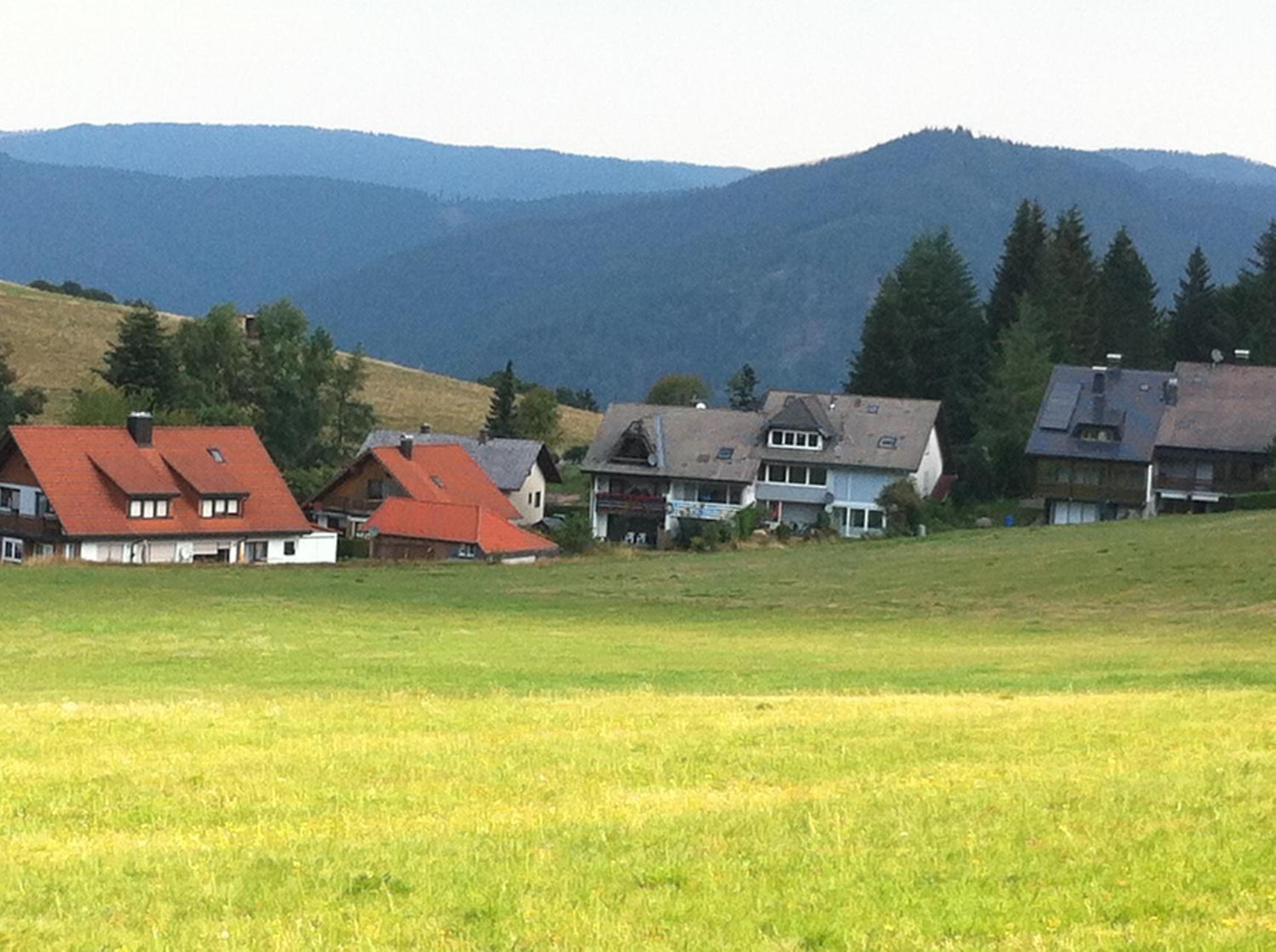 Ferienwohnung Waldblick