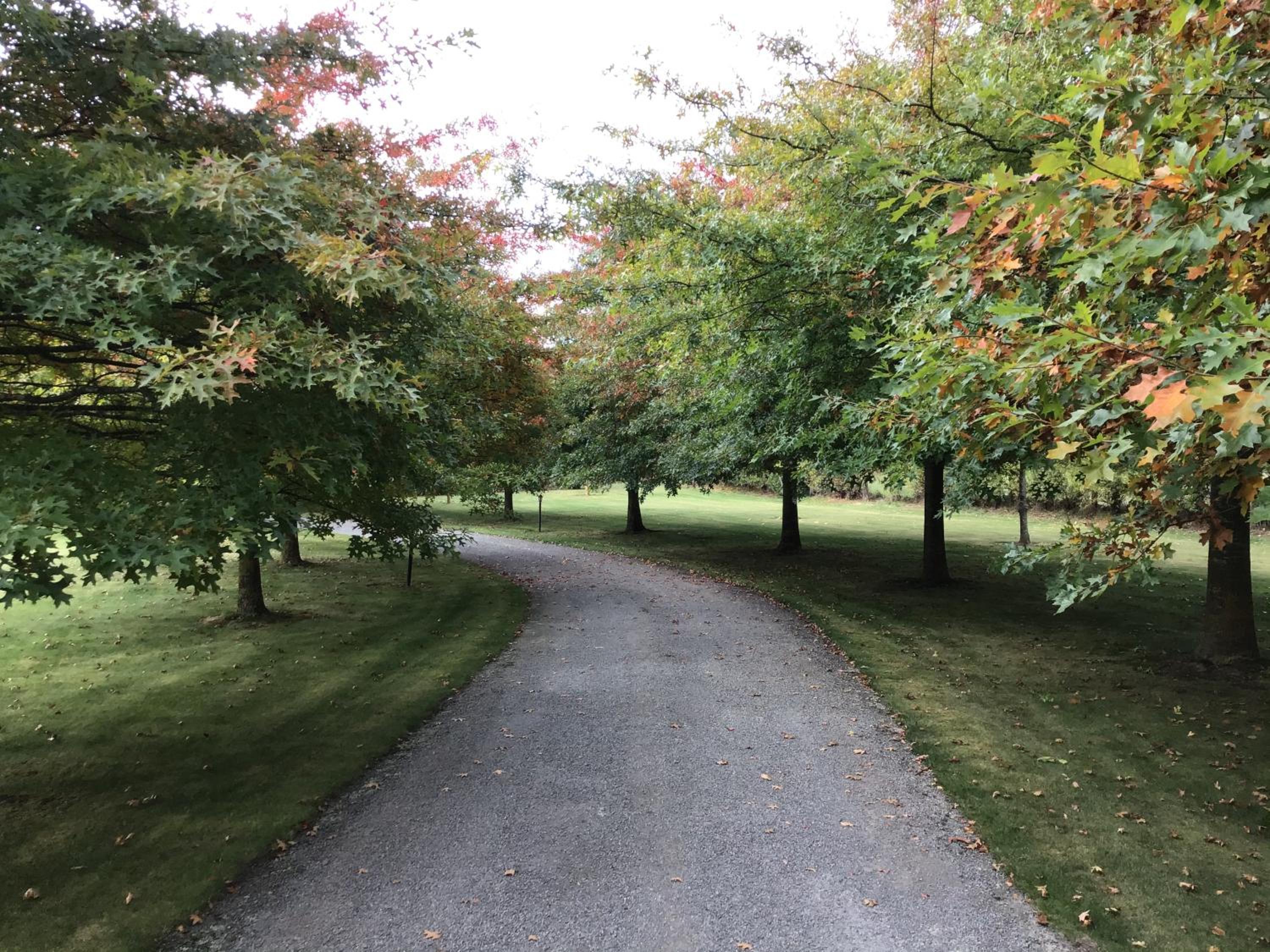 Chester Oaks B&B