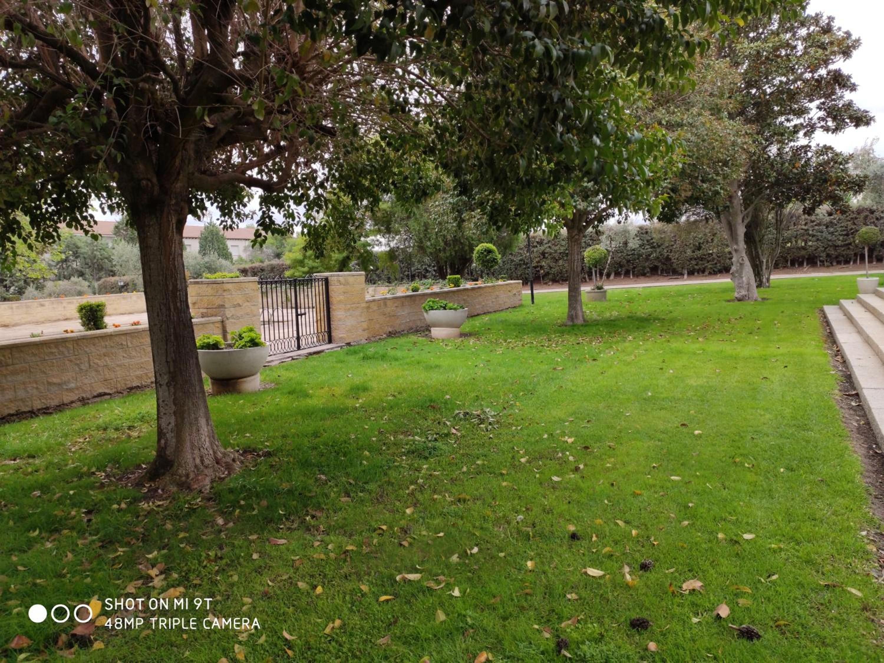 Photo 29