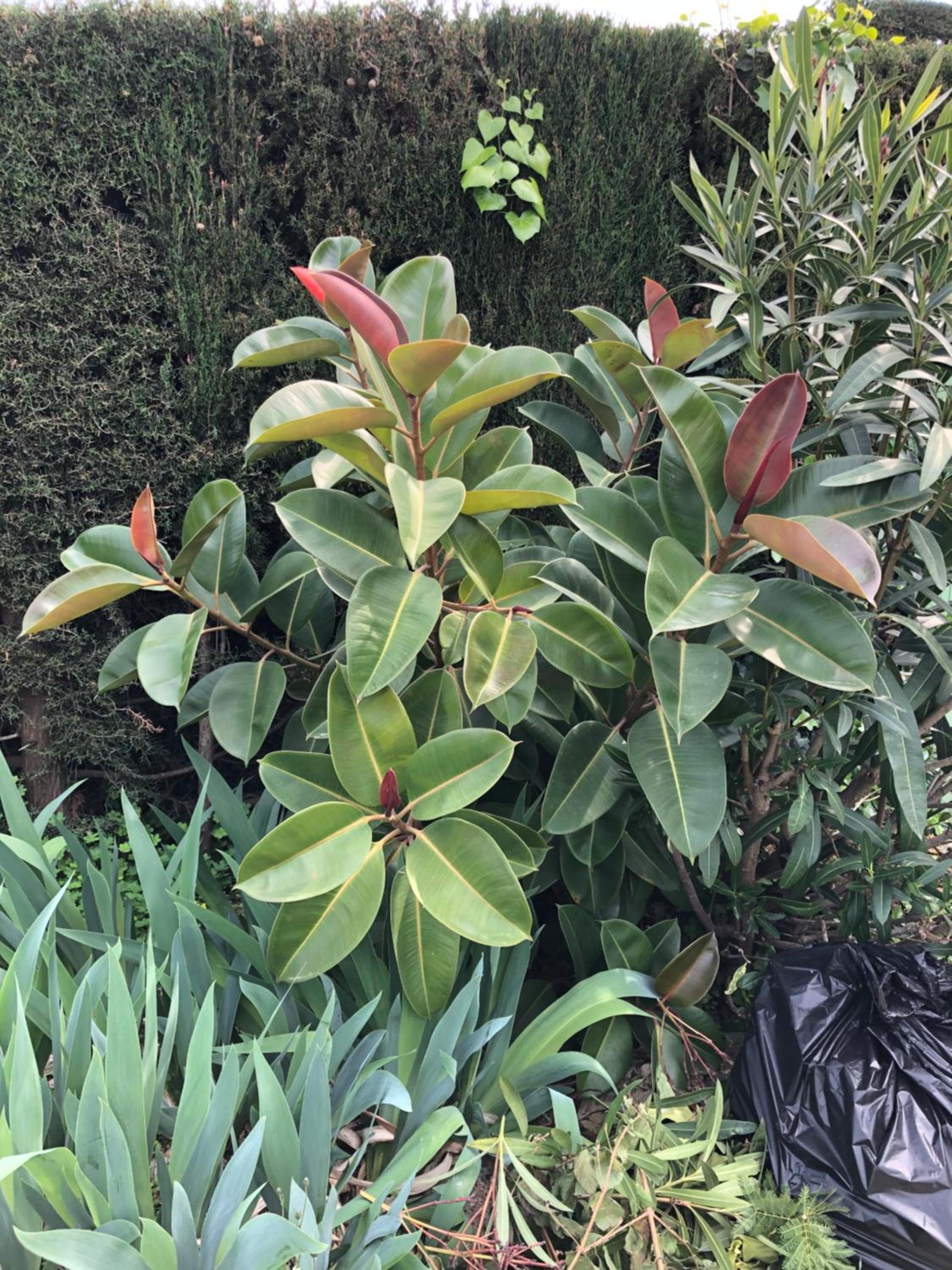 Photo 14