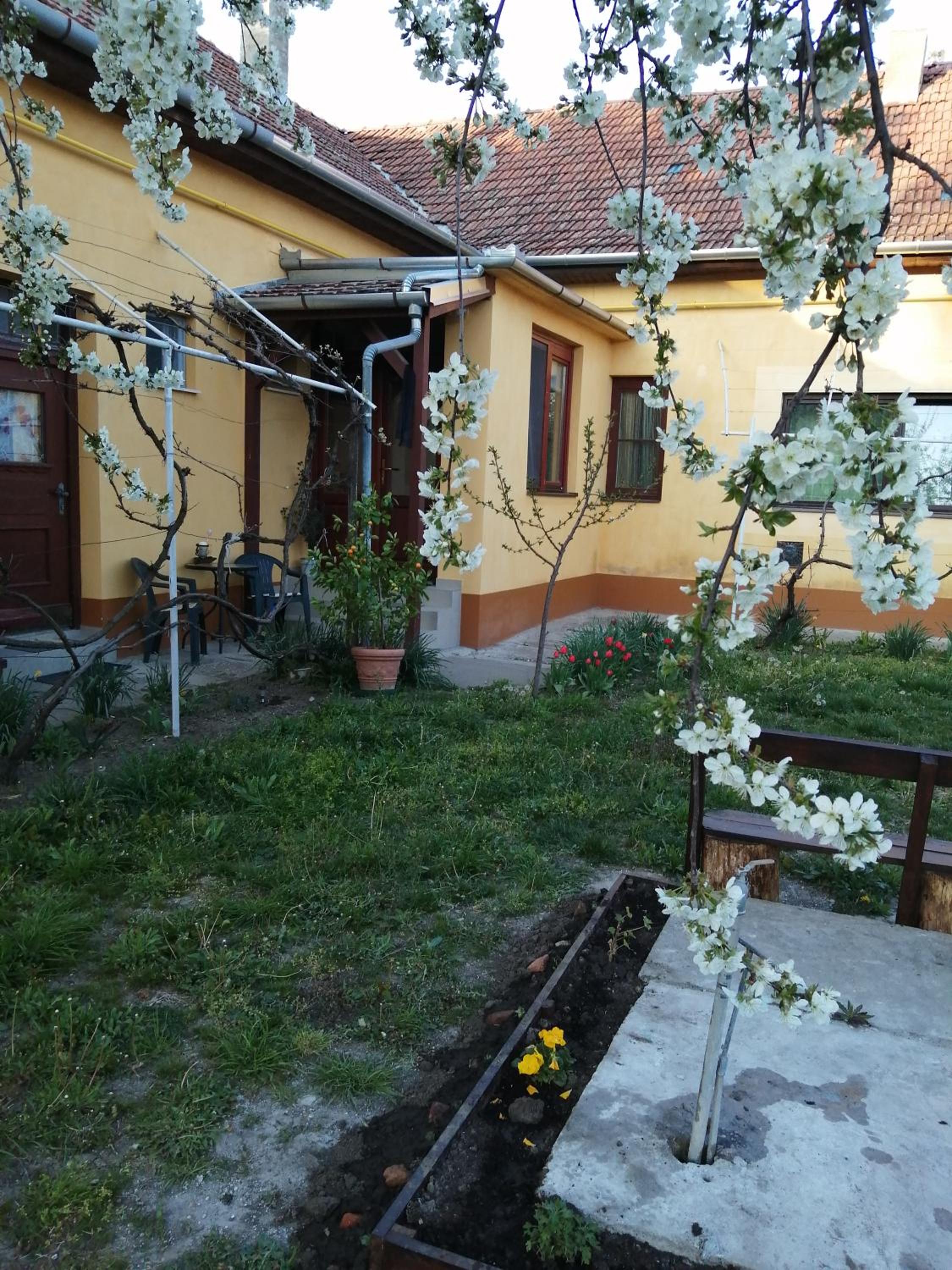 Hársfák view 2