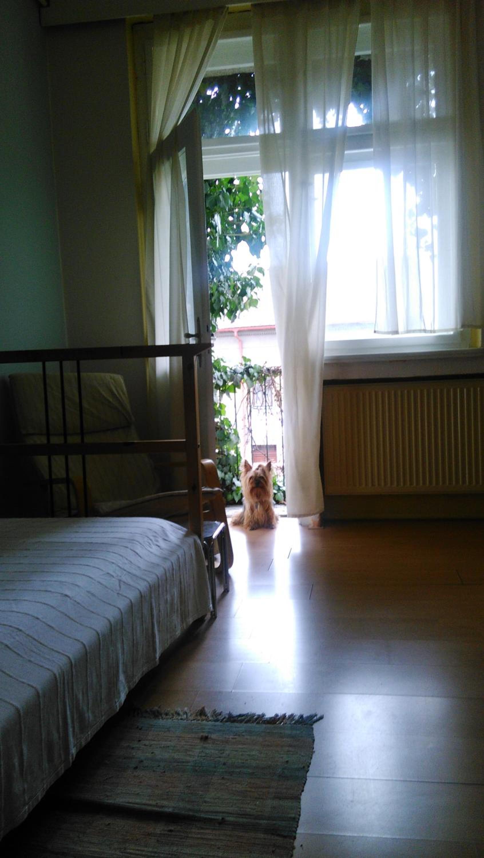 Photo 46